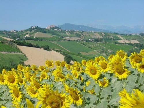 Agriturismo San Michele