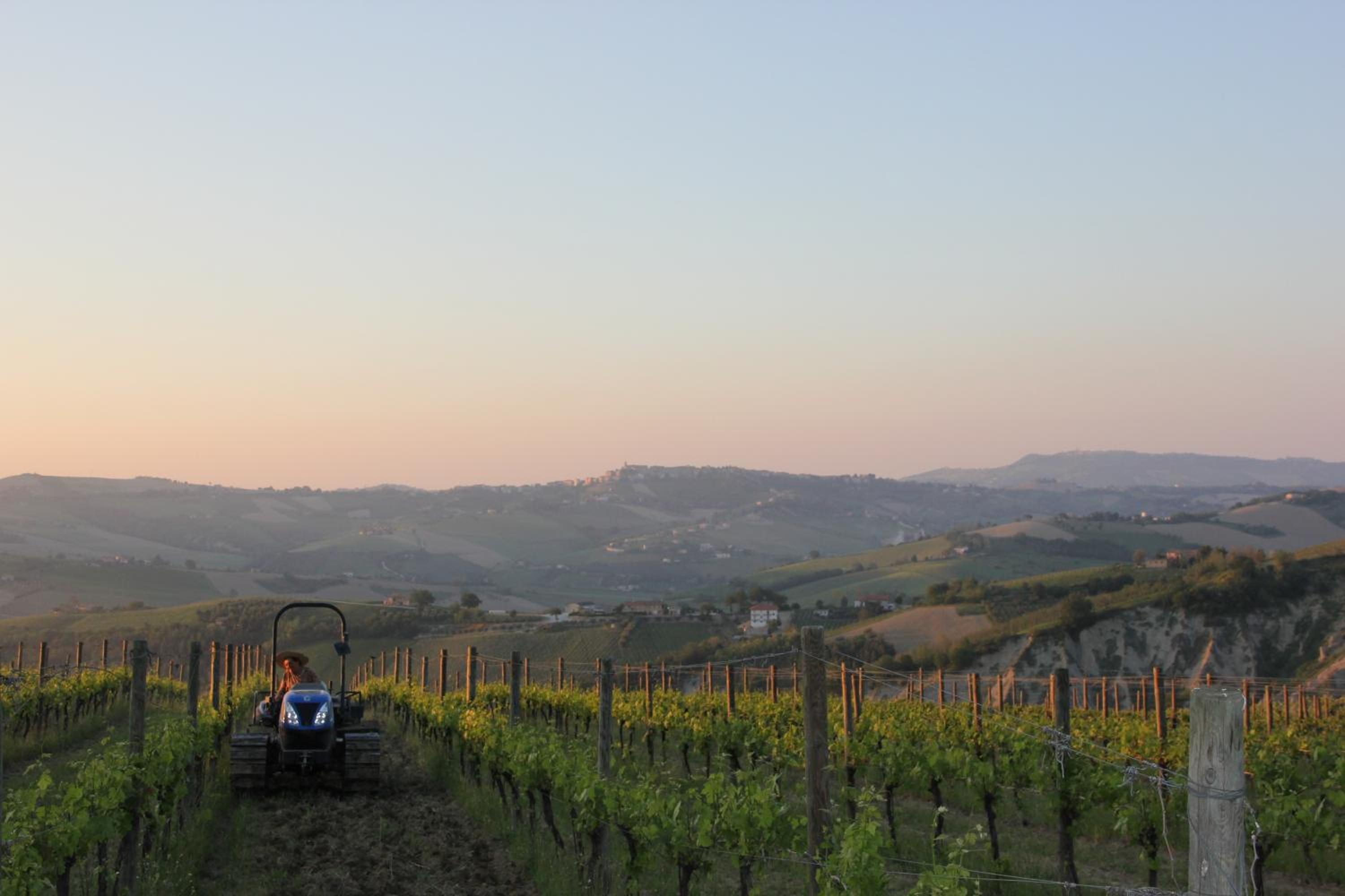 Agriturismo San Michele
