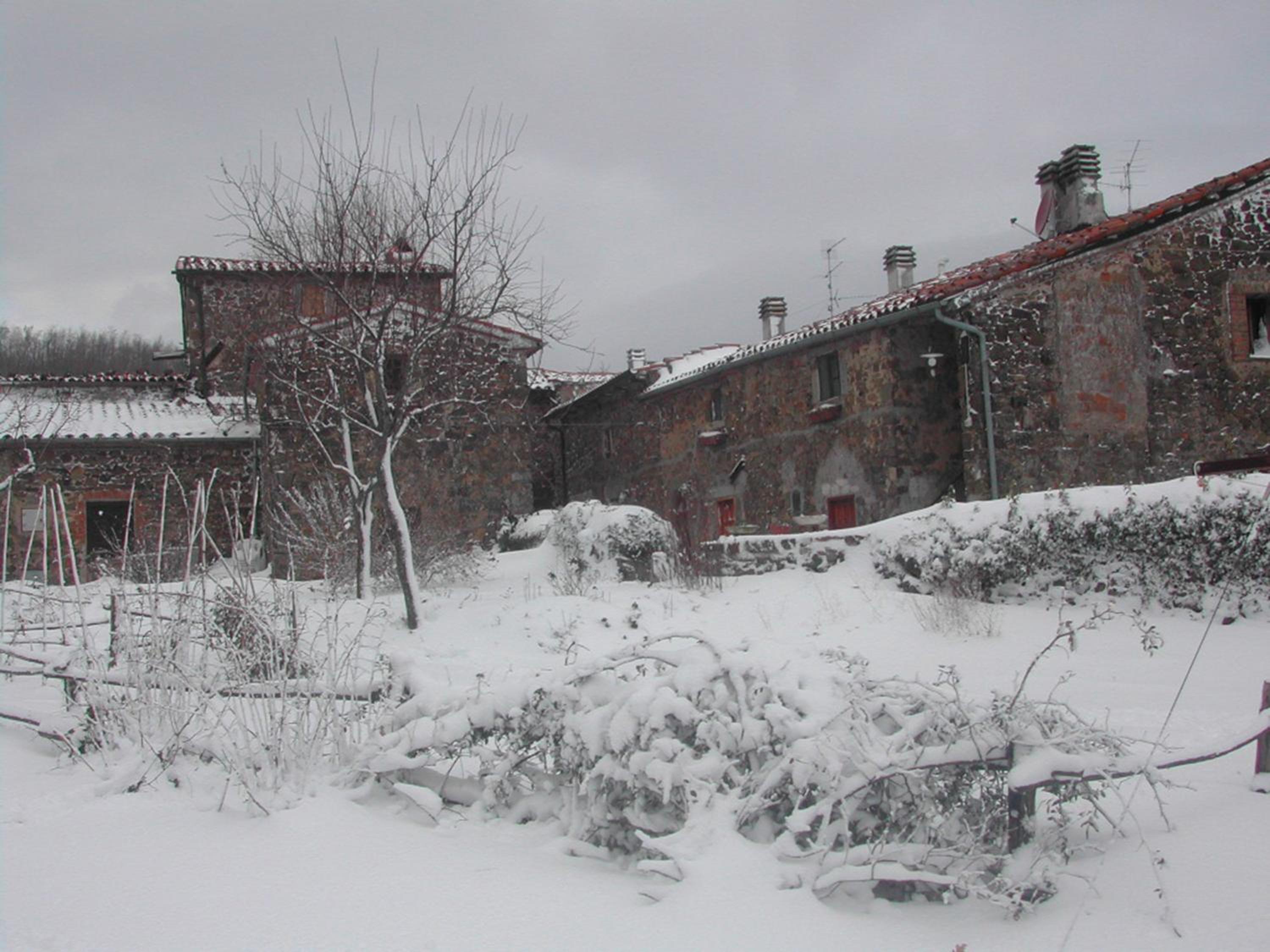 Photo 24