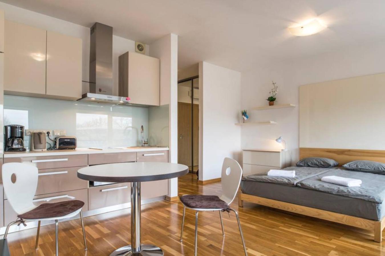 Riga Apartment in the Heart of City view 2