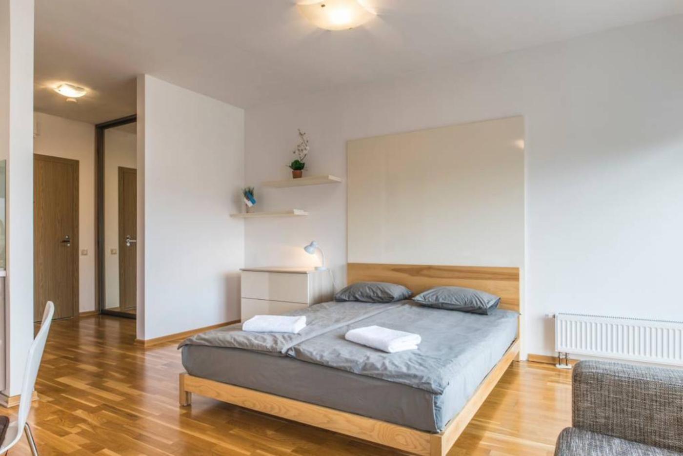 Riga Apartment in the Heart of City view 3