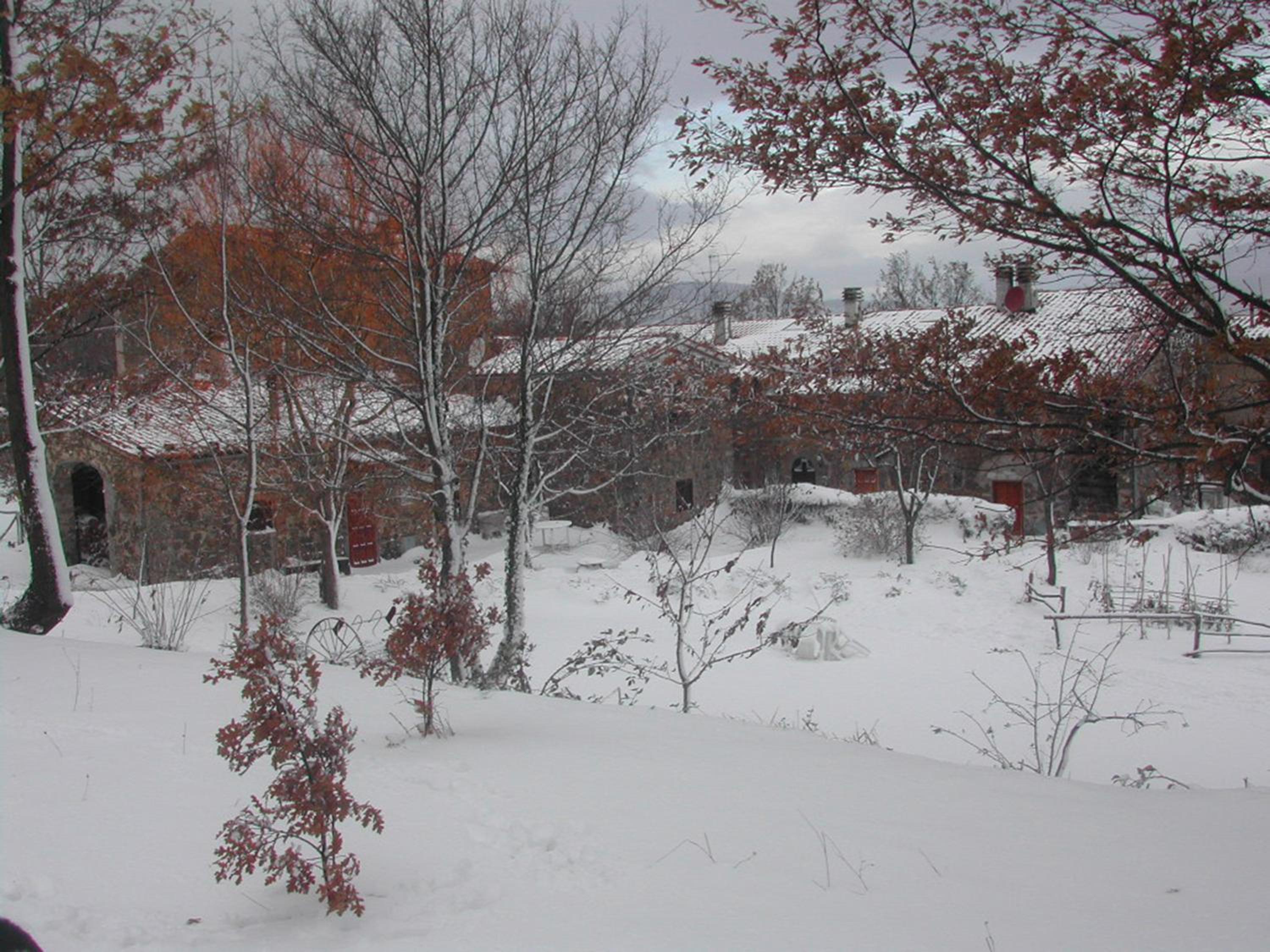 Photo 22