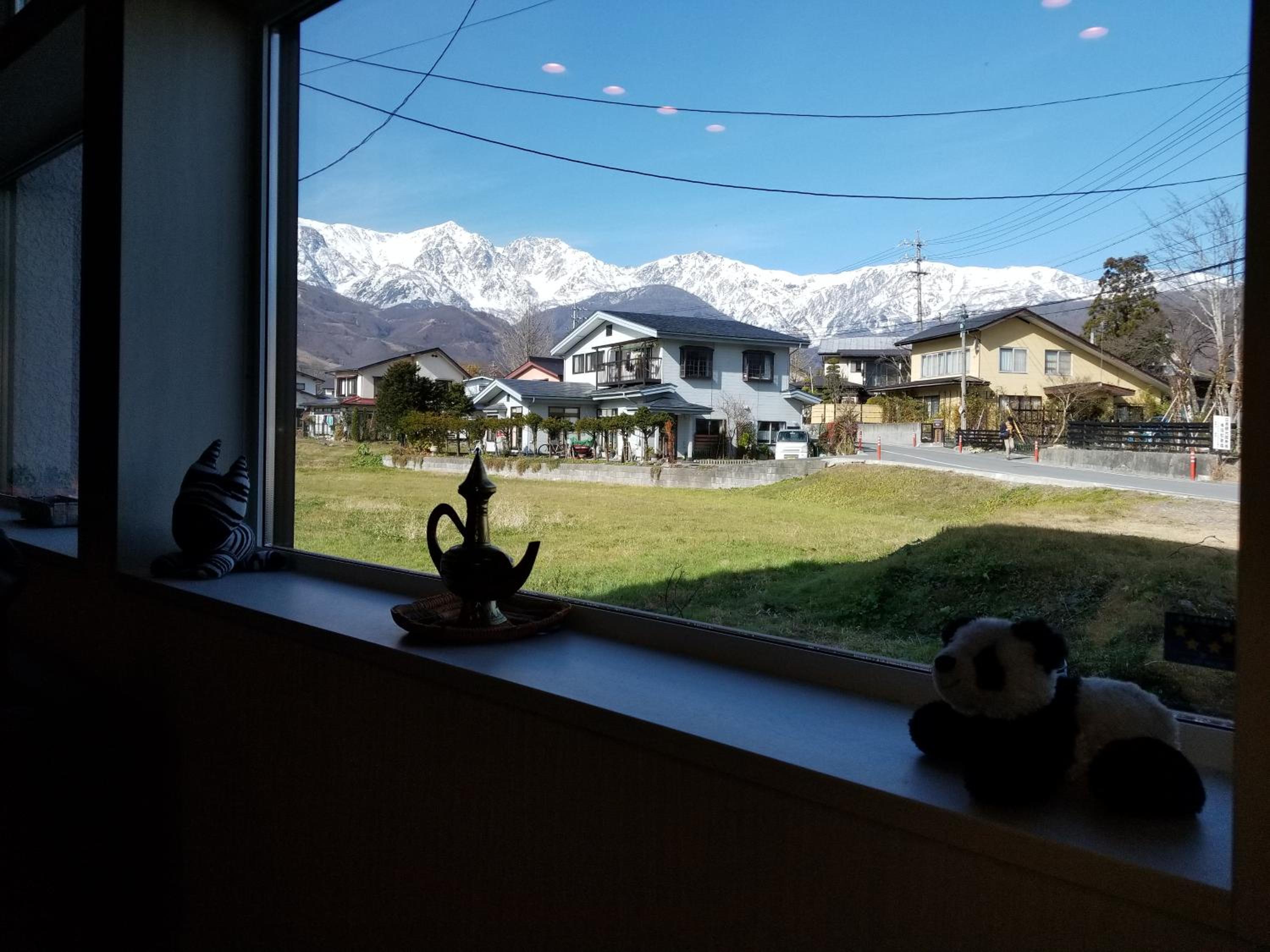 Photo 41