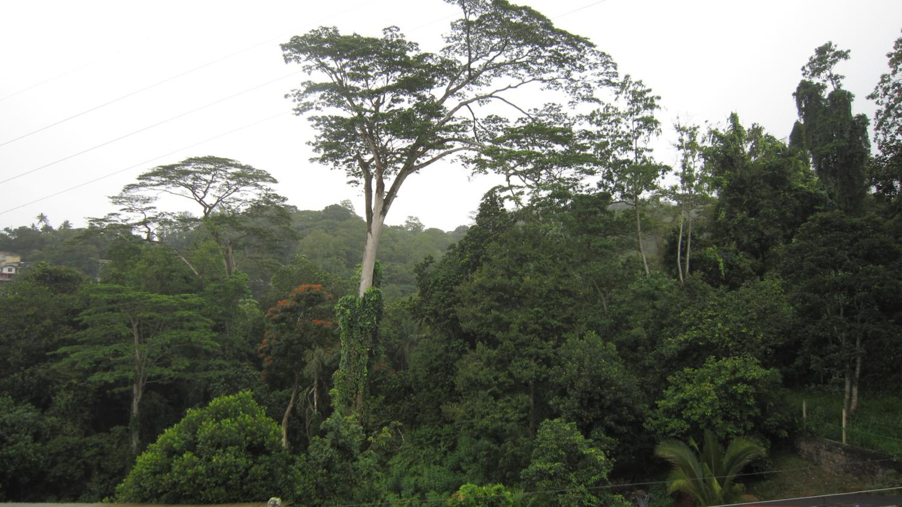 Bethel Rest Homestay