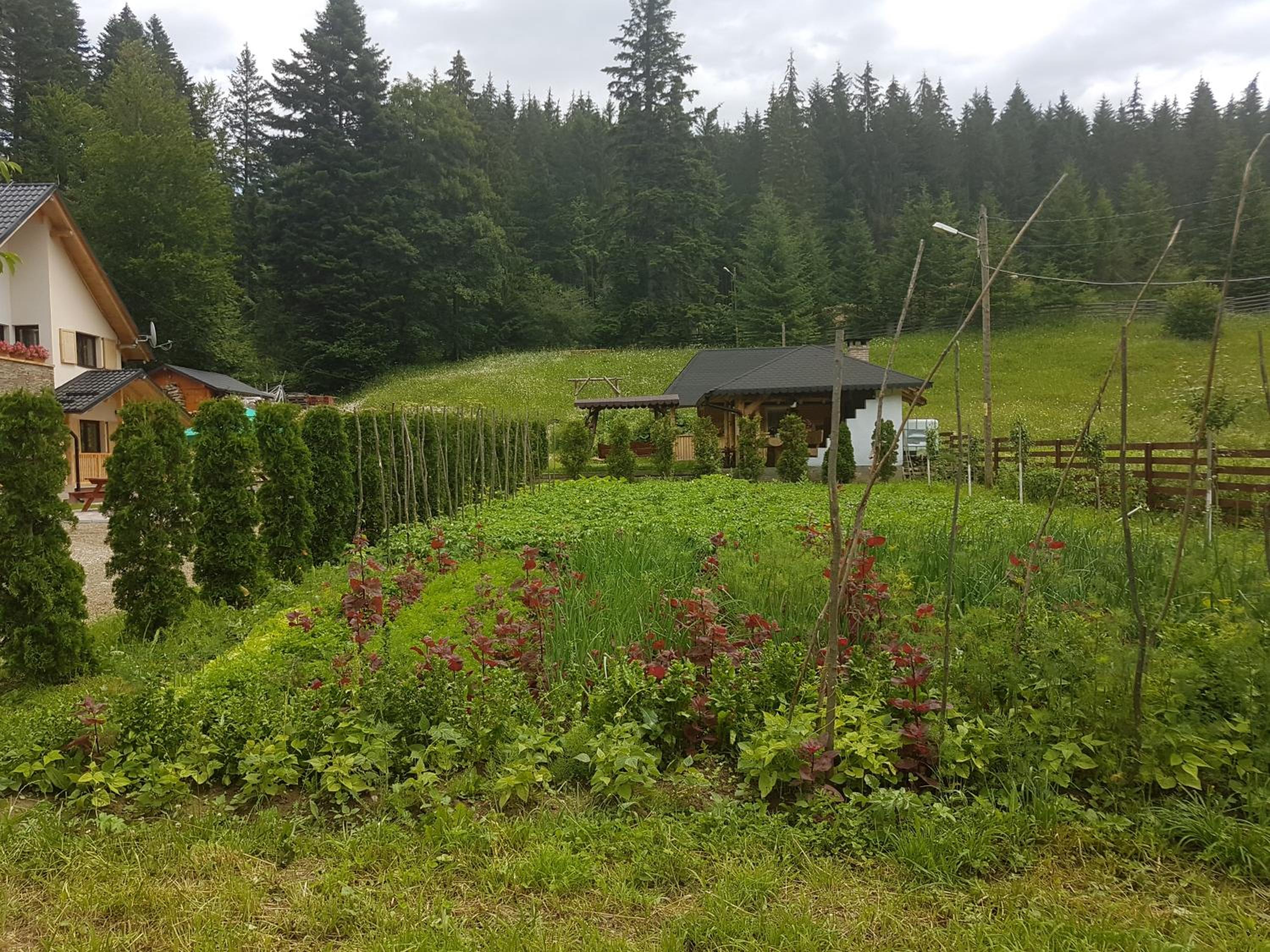 Photo 13