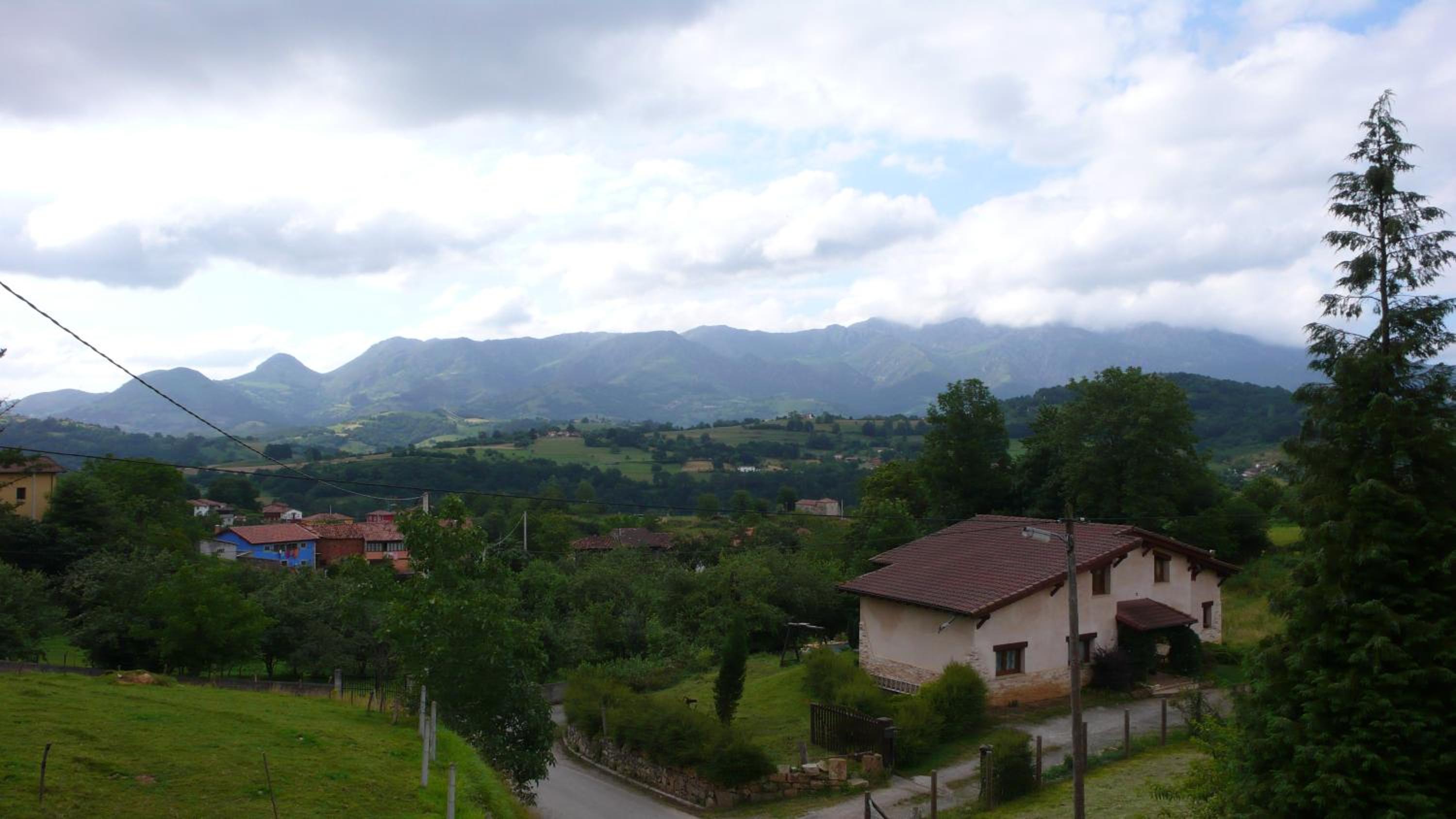 Photo 42