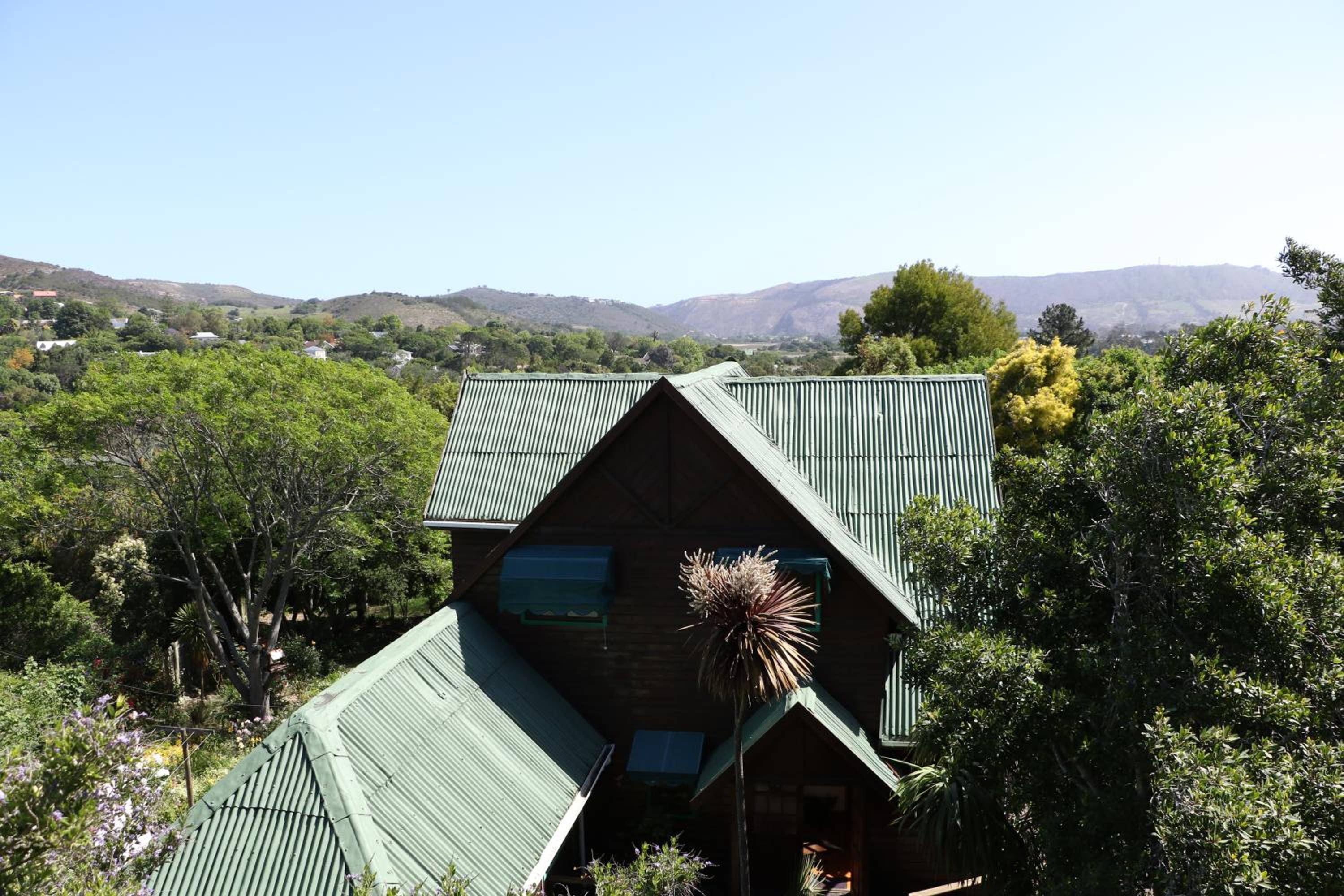 Allan Grove view 4