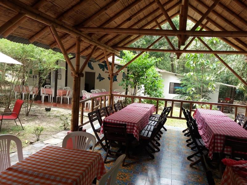 TierraViva