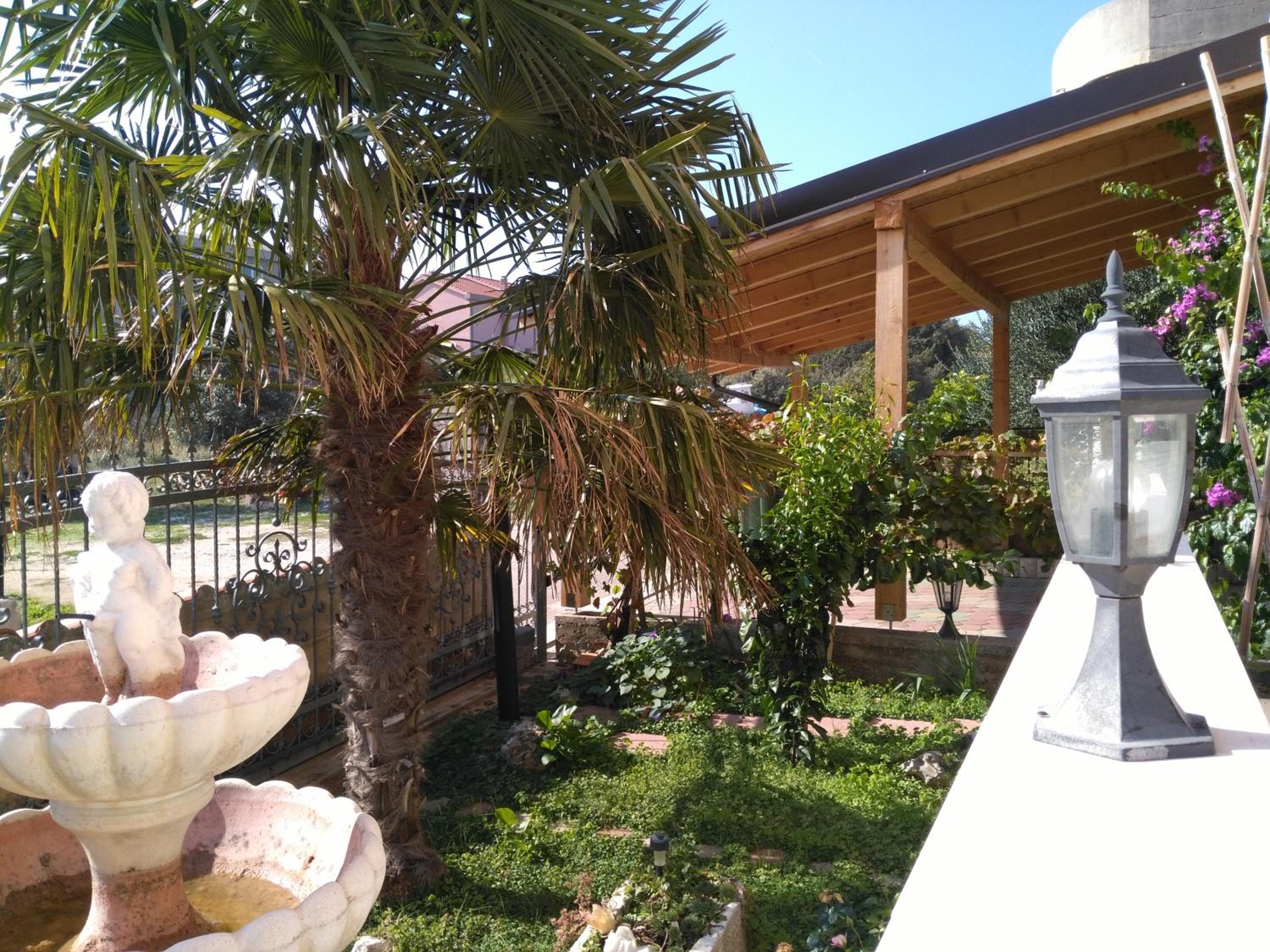 Photo 43