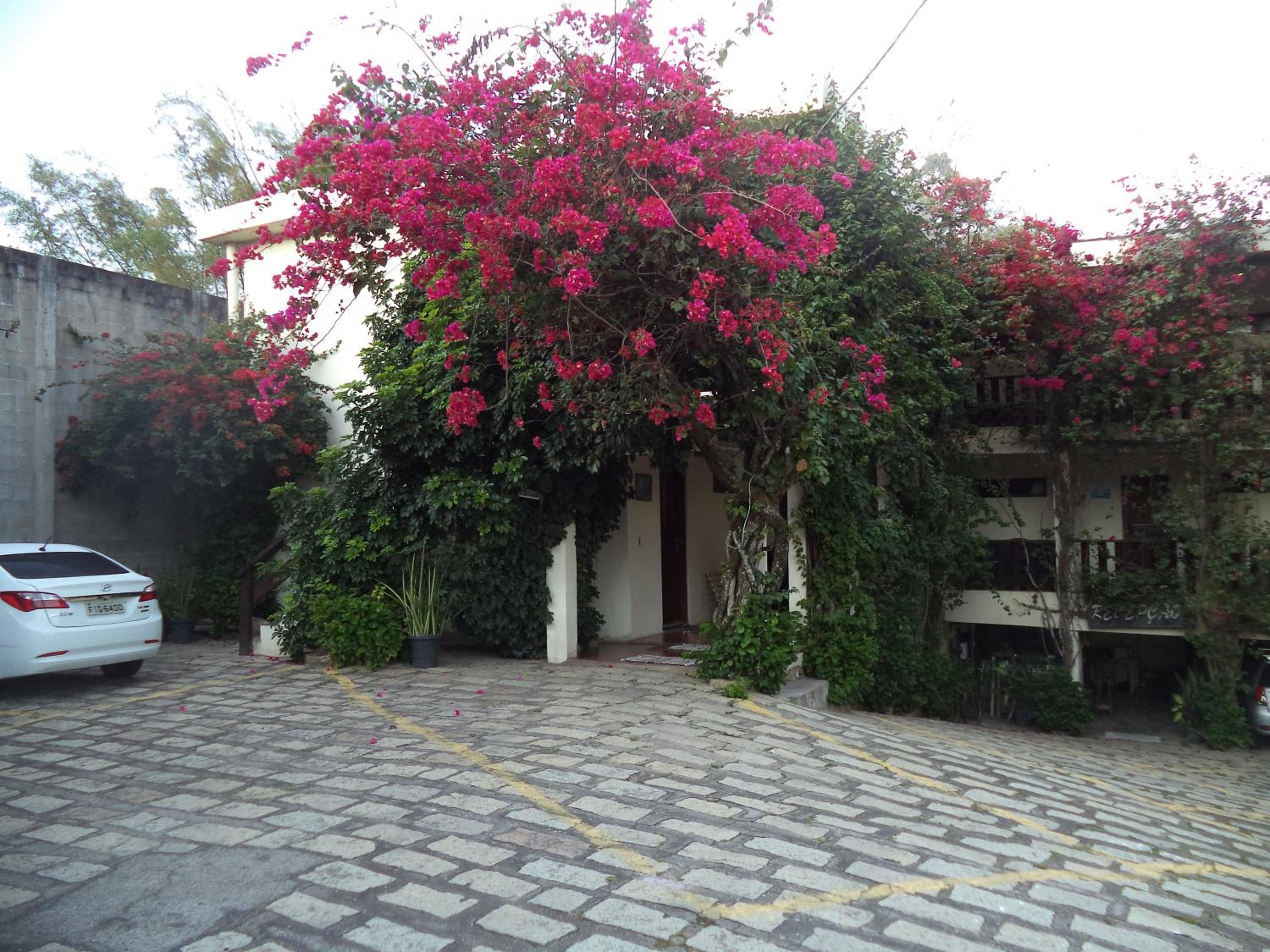 Photo 27