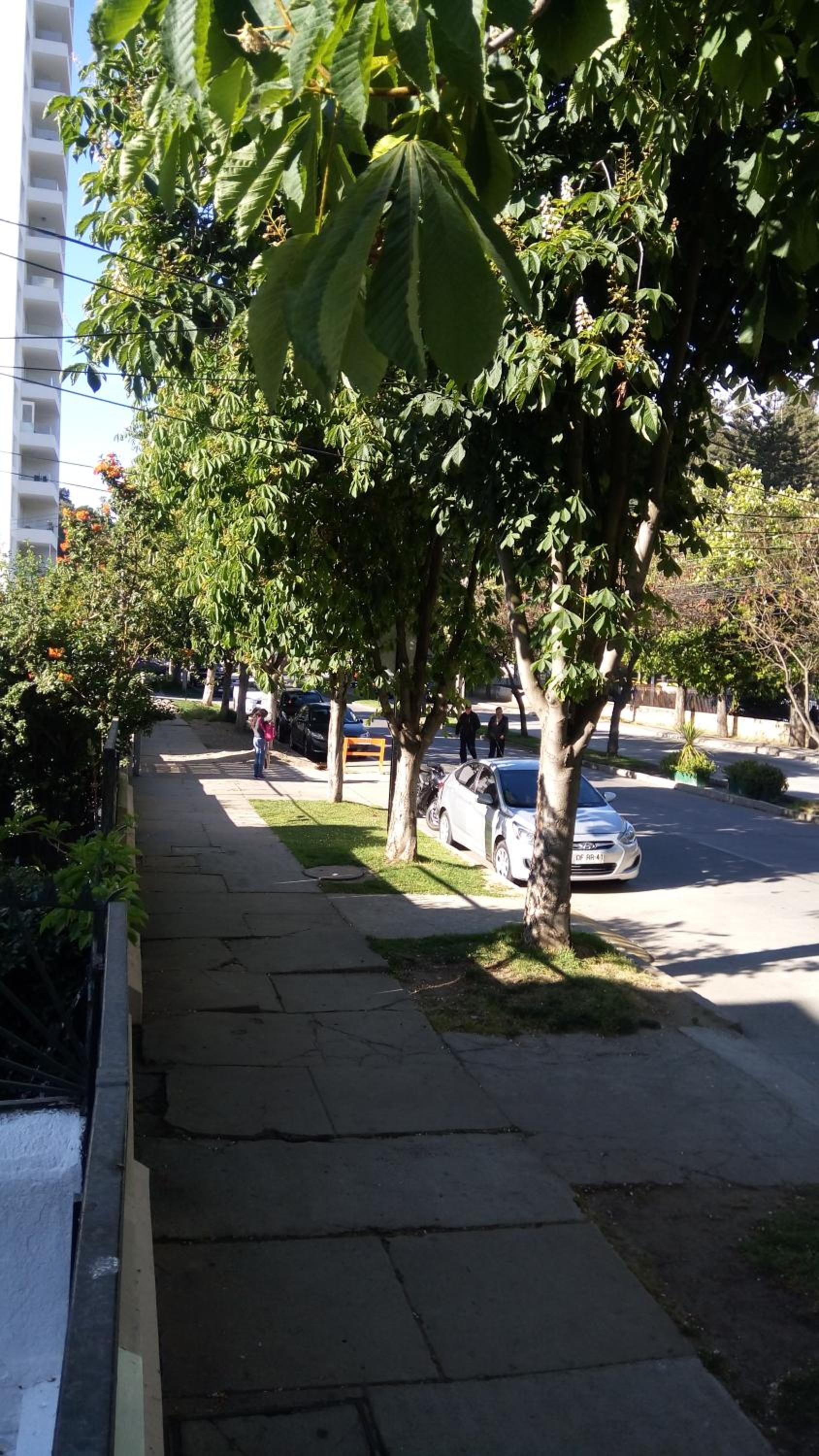 Hostal Los Castaños
