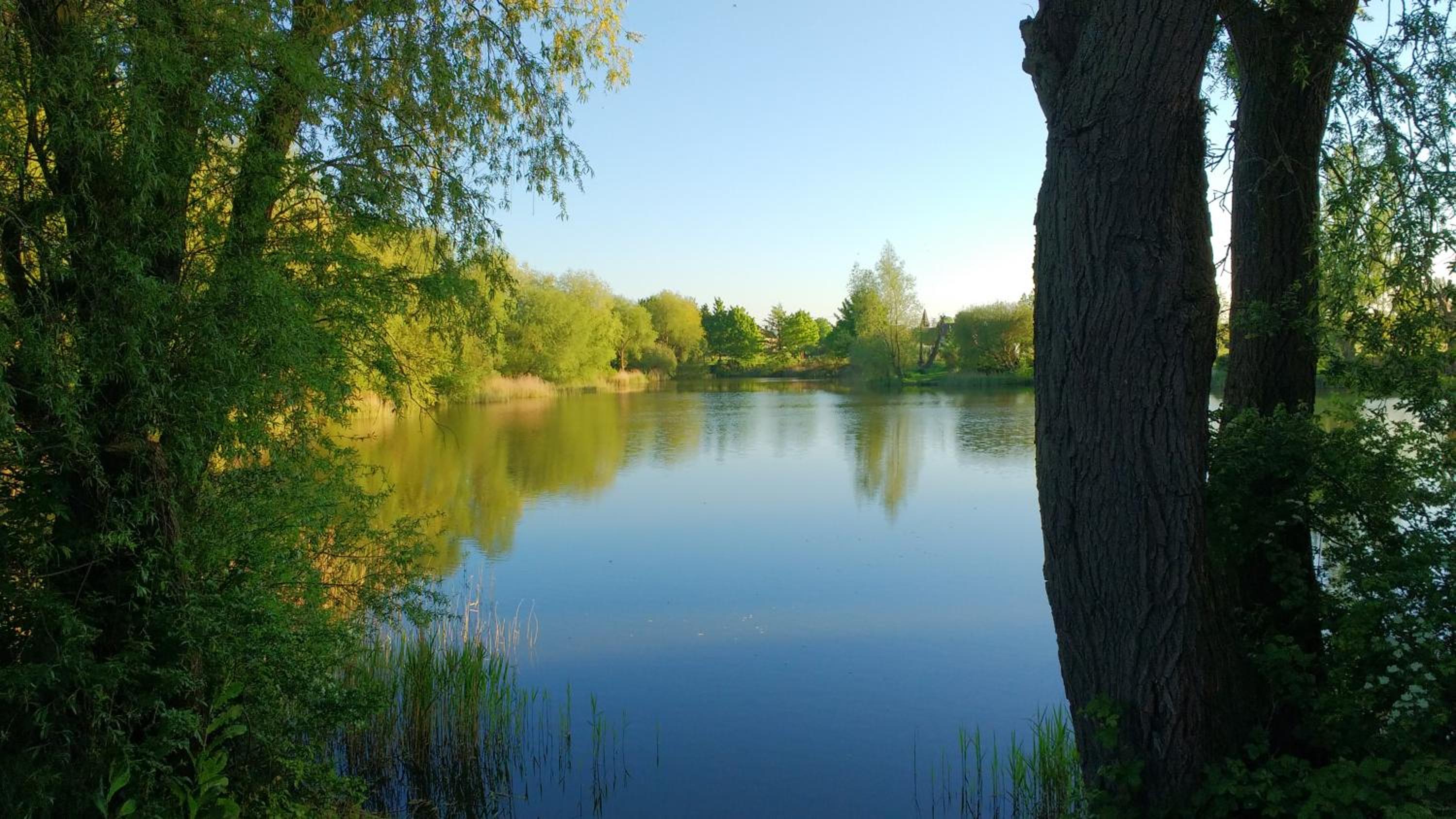 Photo 37