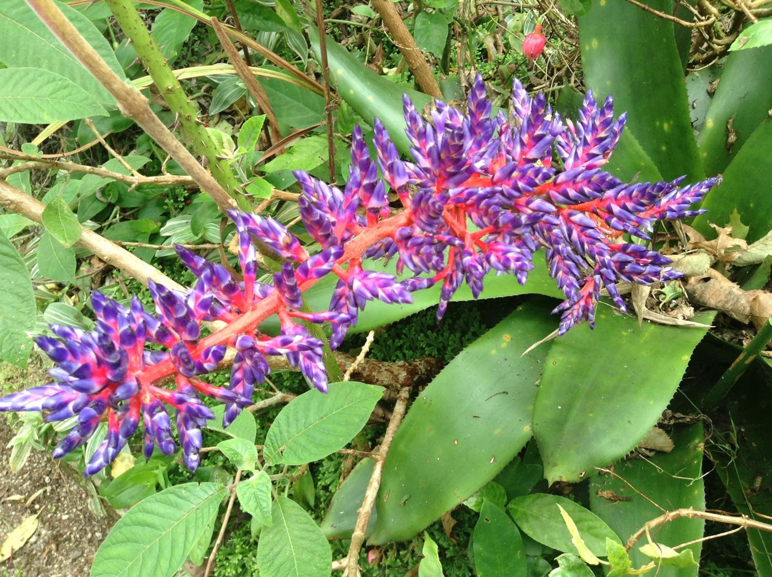 Photo 23