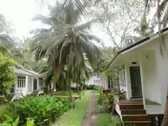 Young Coconut Garden Home Resort