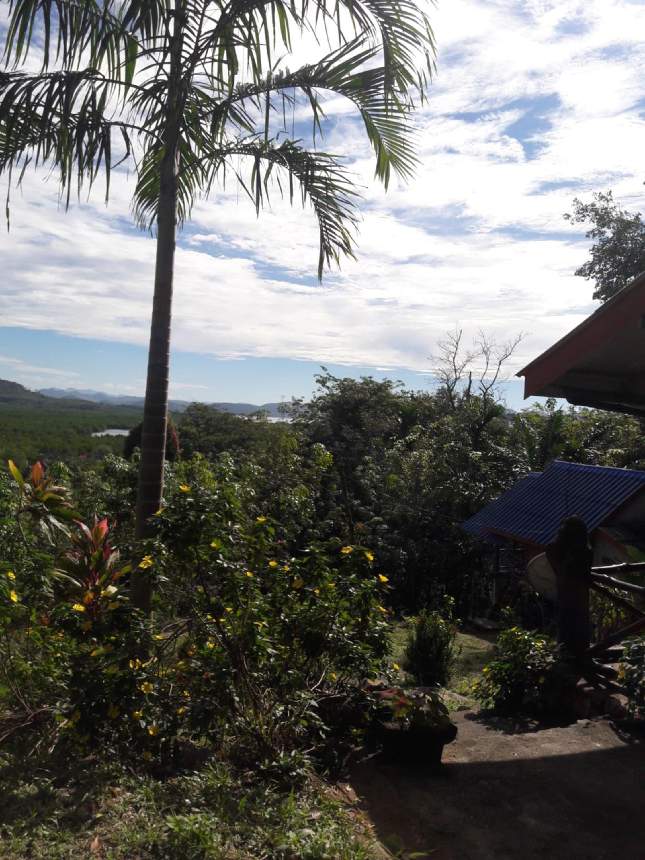 Good Morning Bungalow