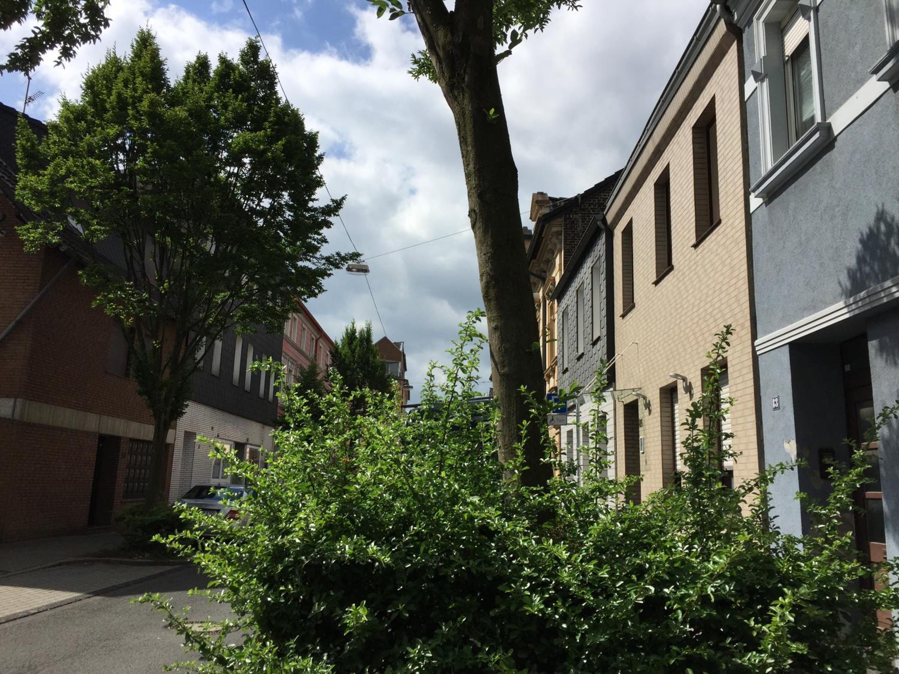 Schacht85