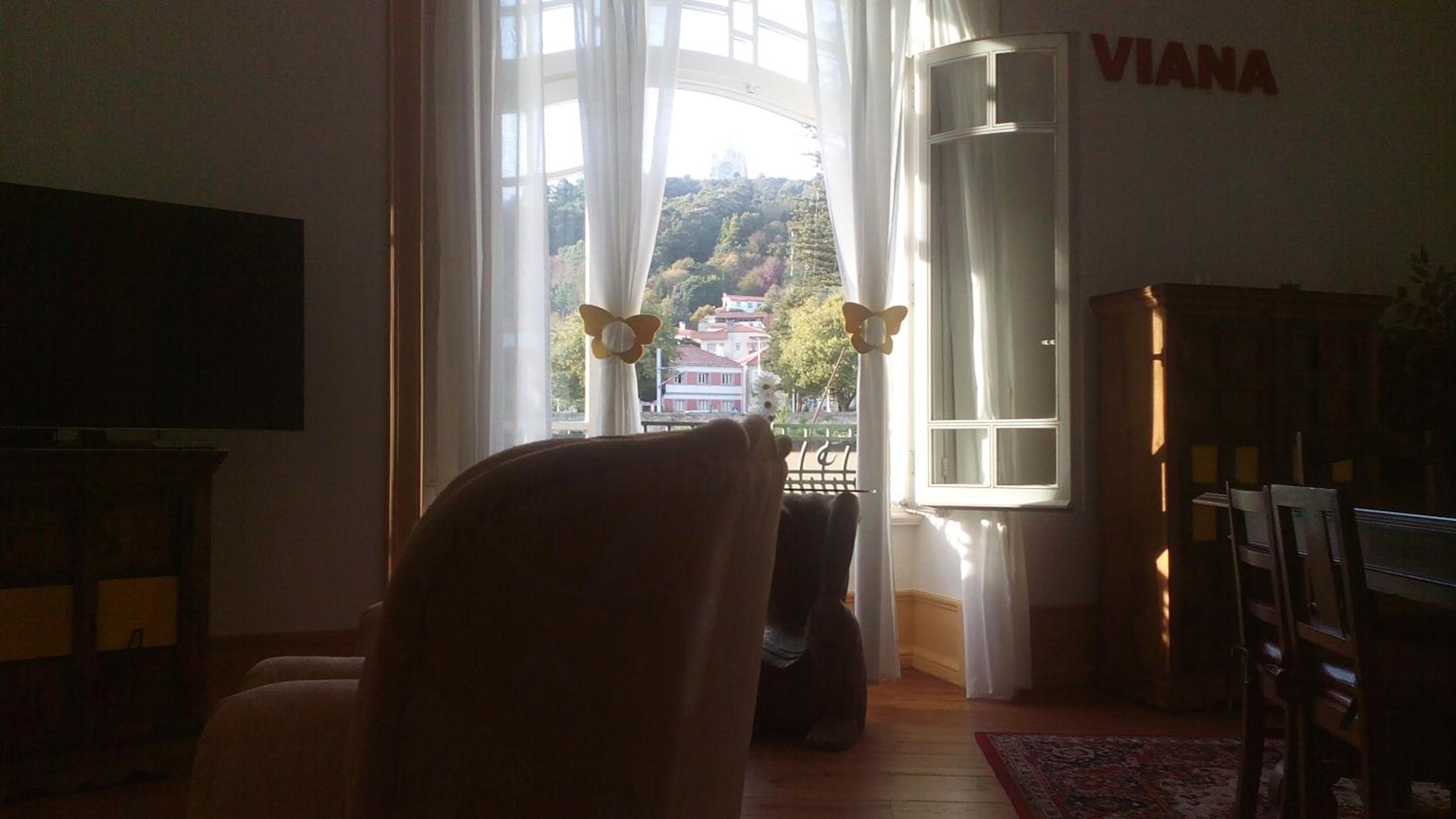 A Vianesa - Guest House