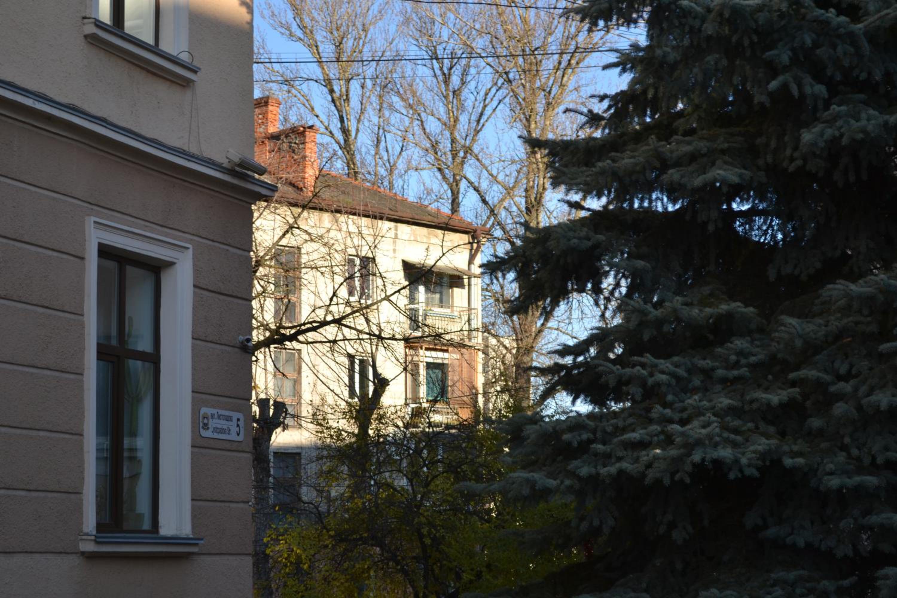 Photo 24