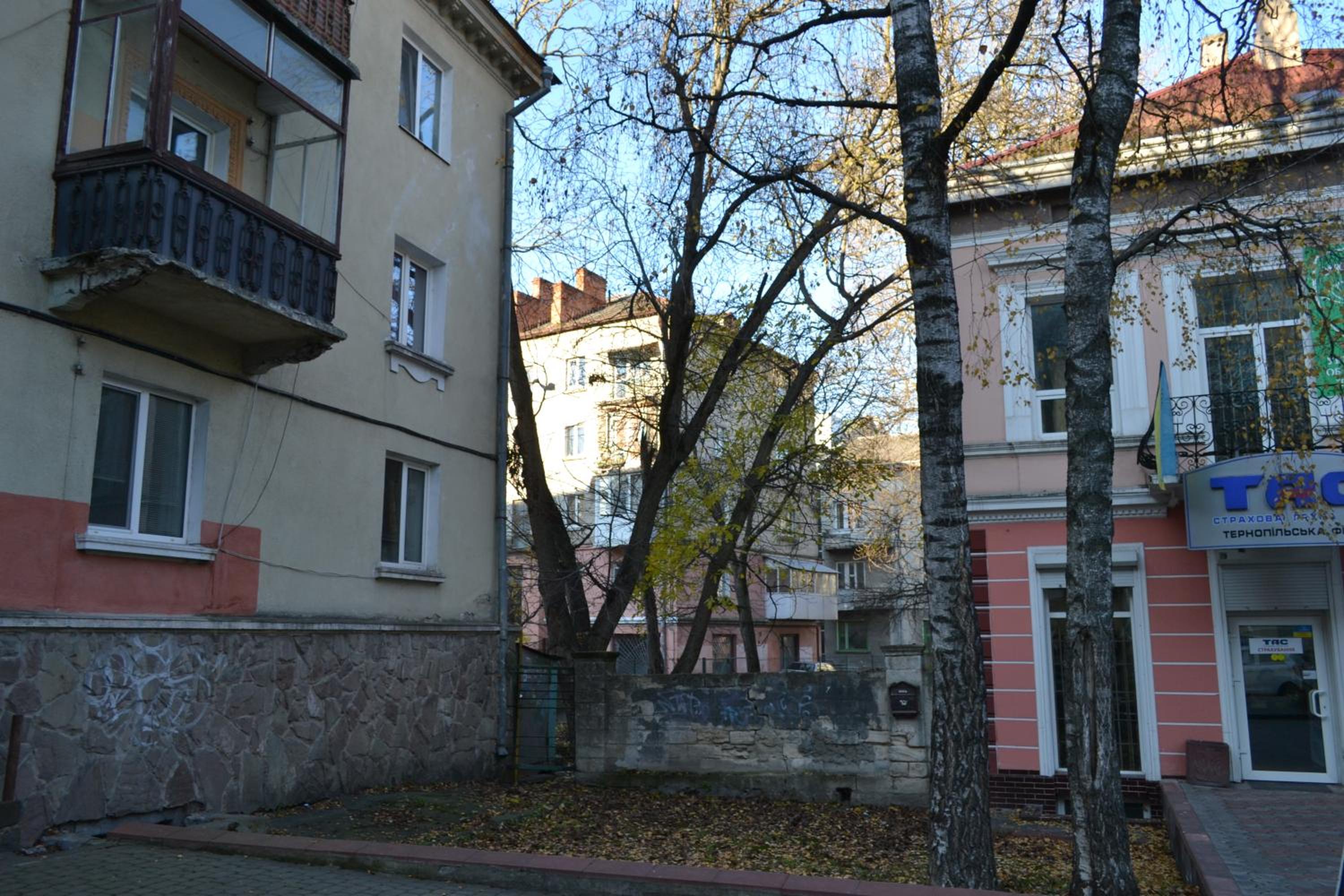Photo 23
