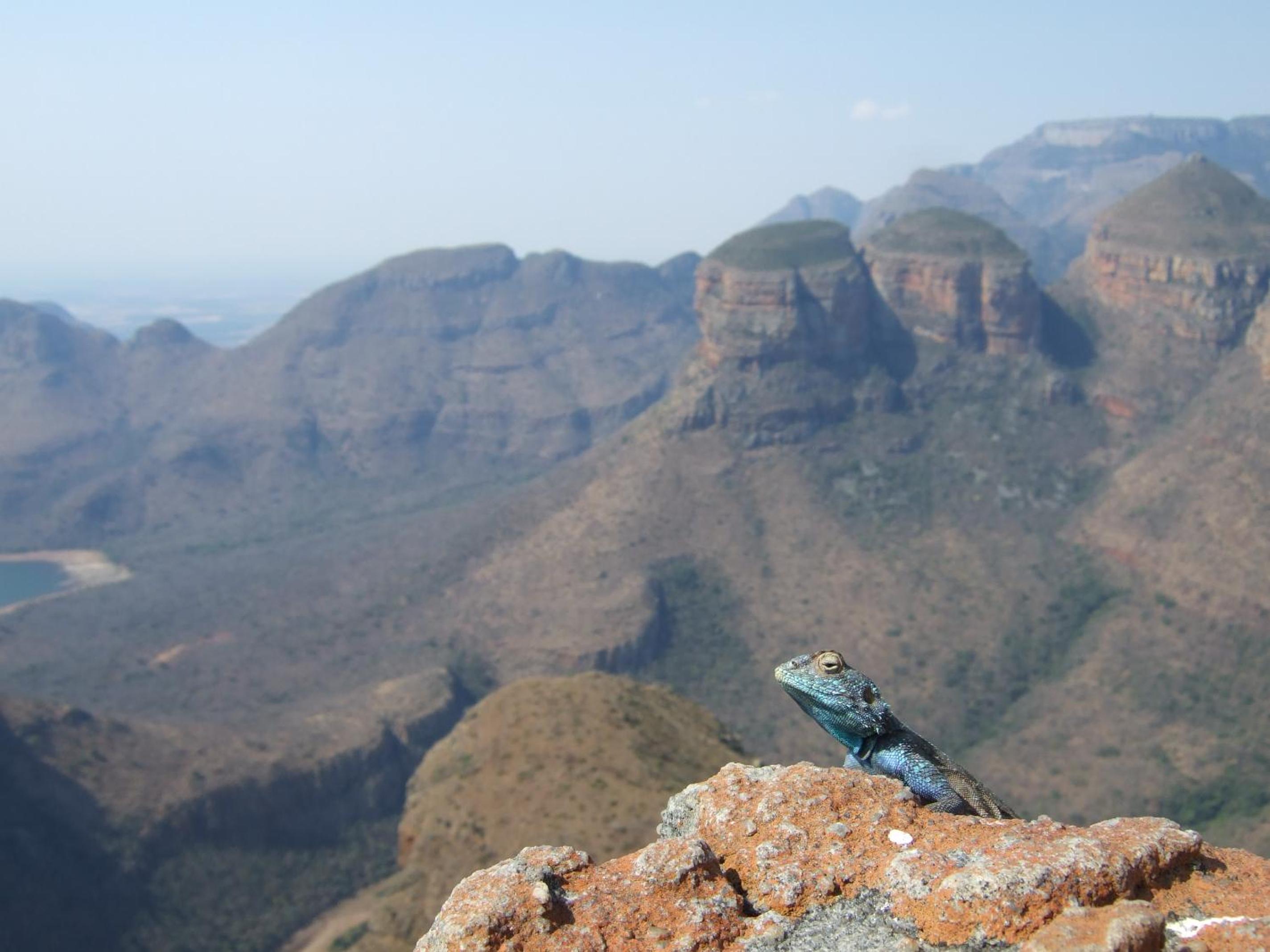 Blyde Canyon, A Forever Resort