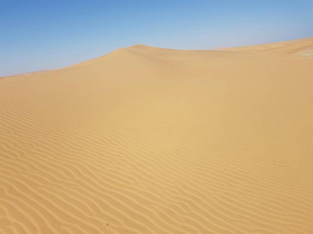 Photo 45