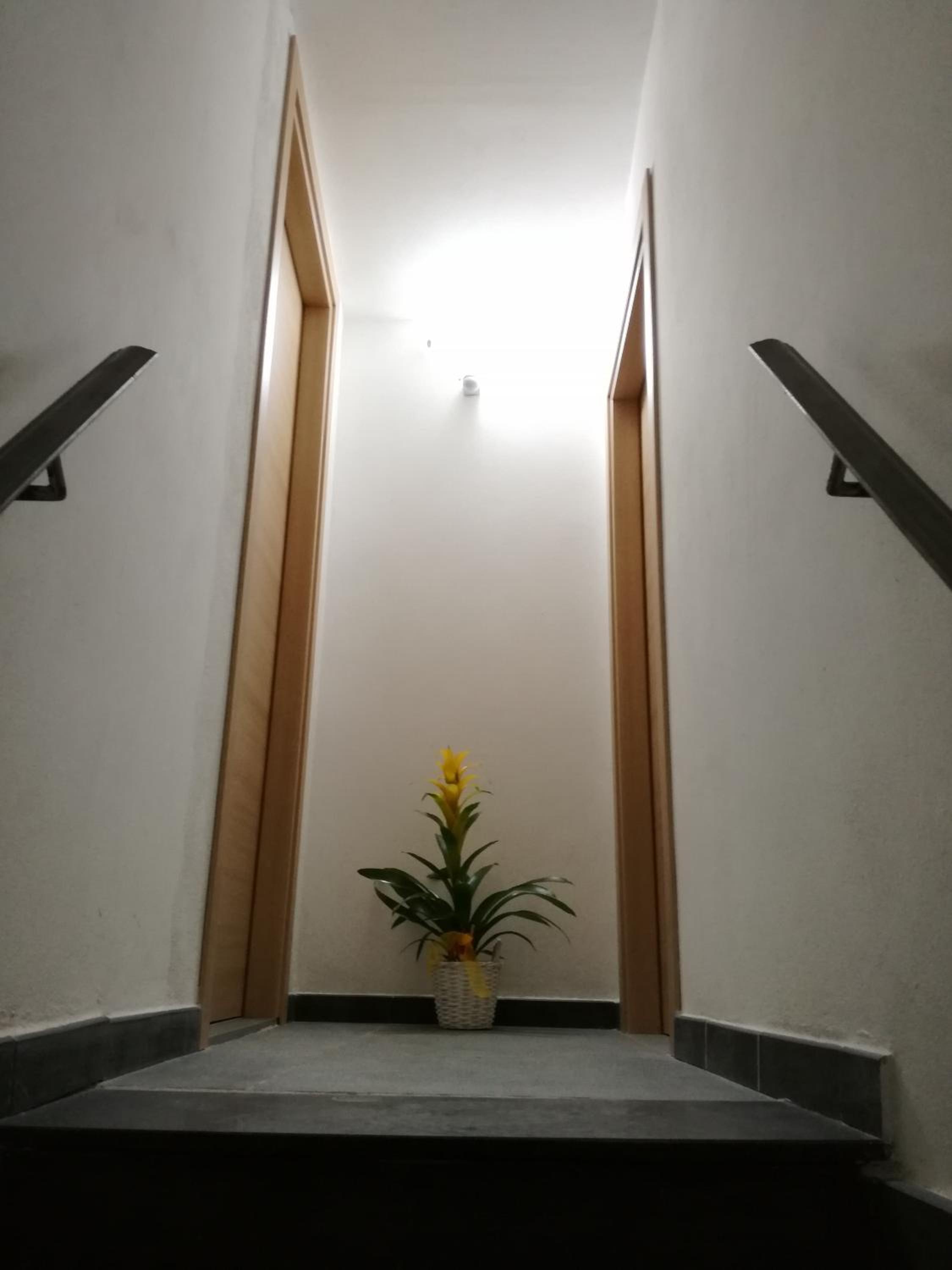 Domus 19