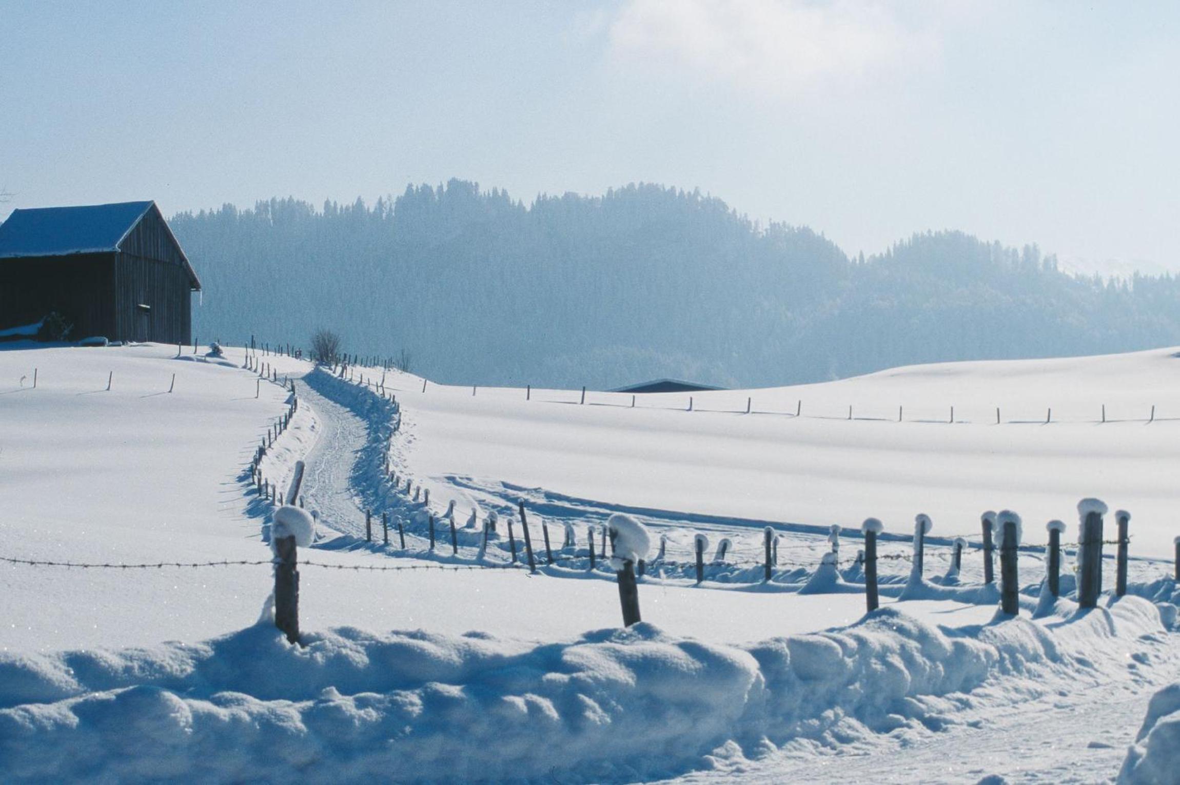 Alp-Chalet
