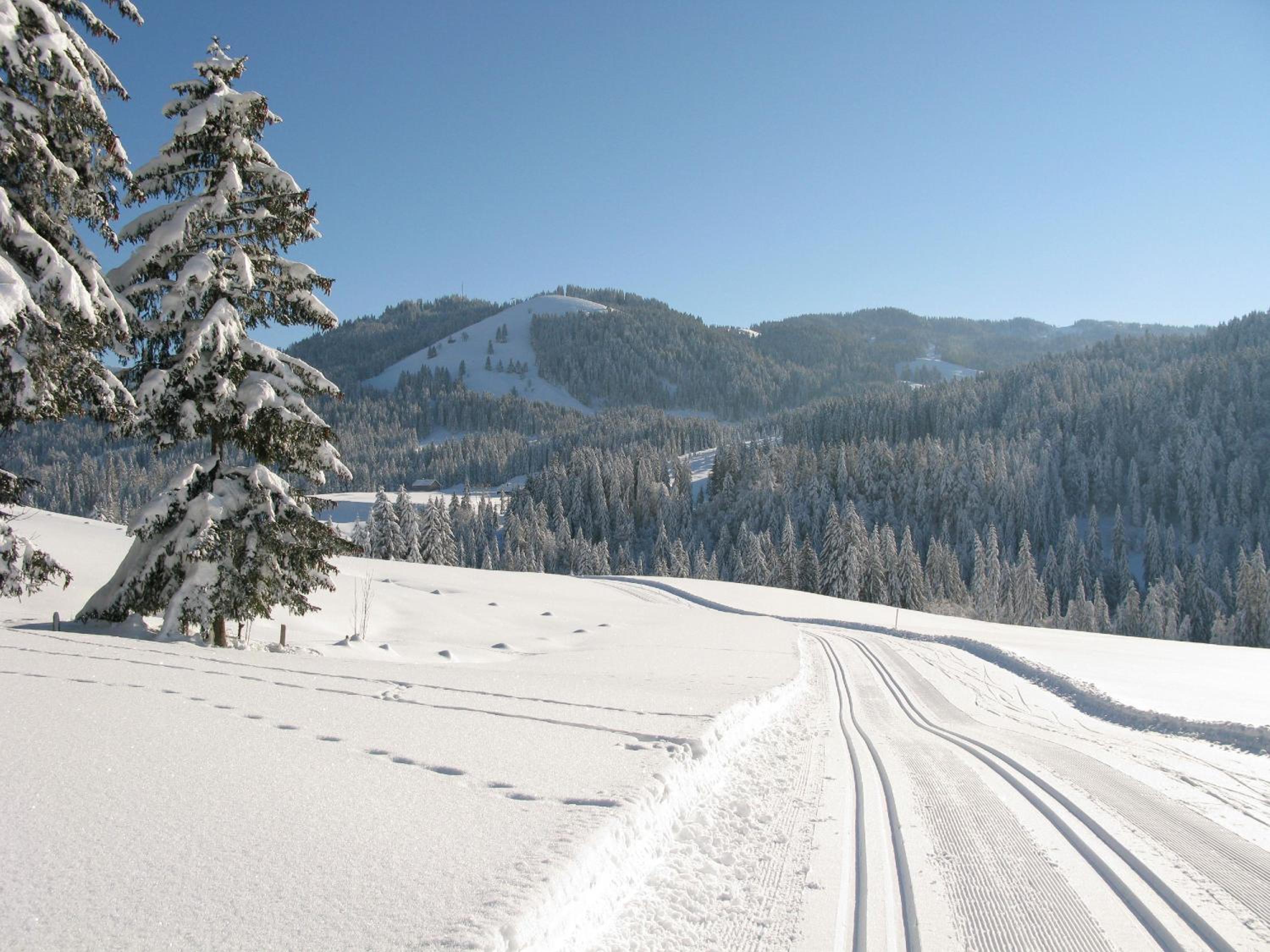 Alp-Chalet