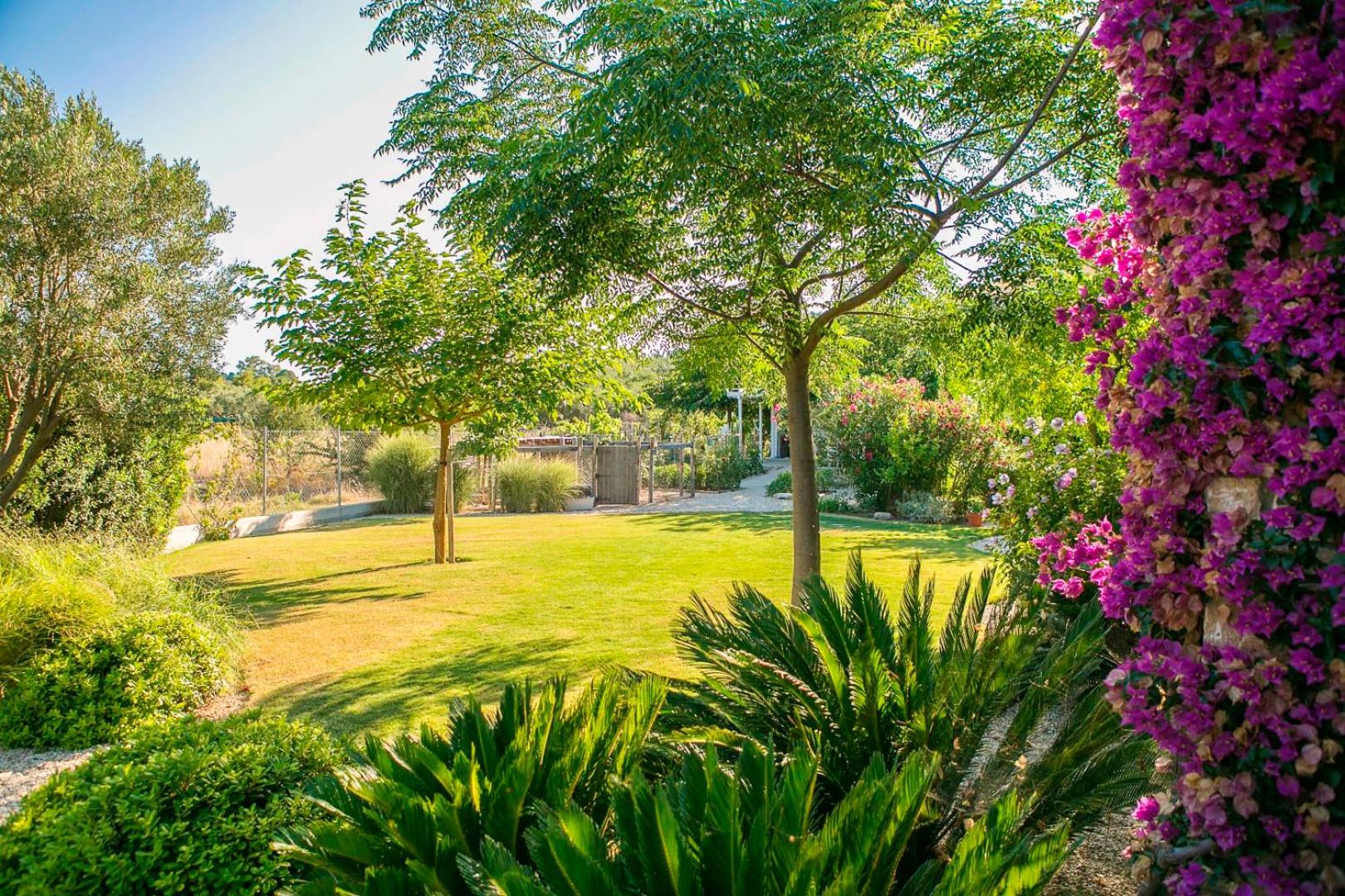Ammouda Villas