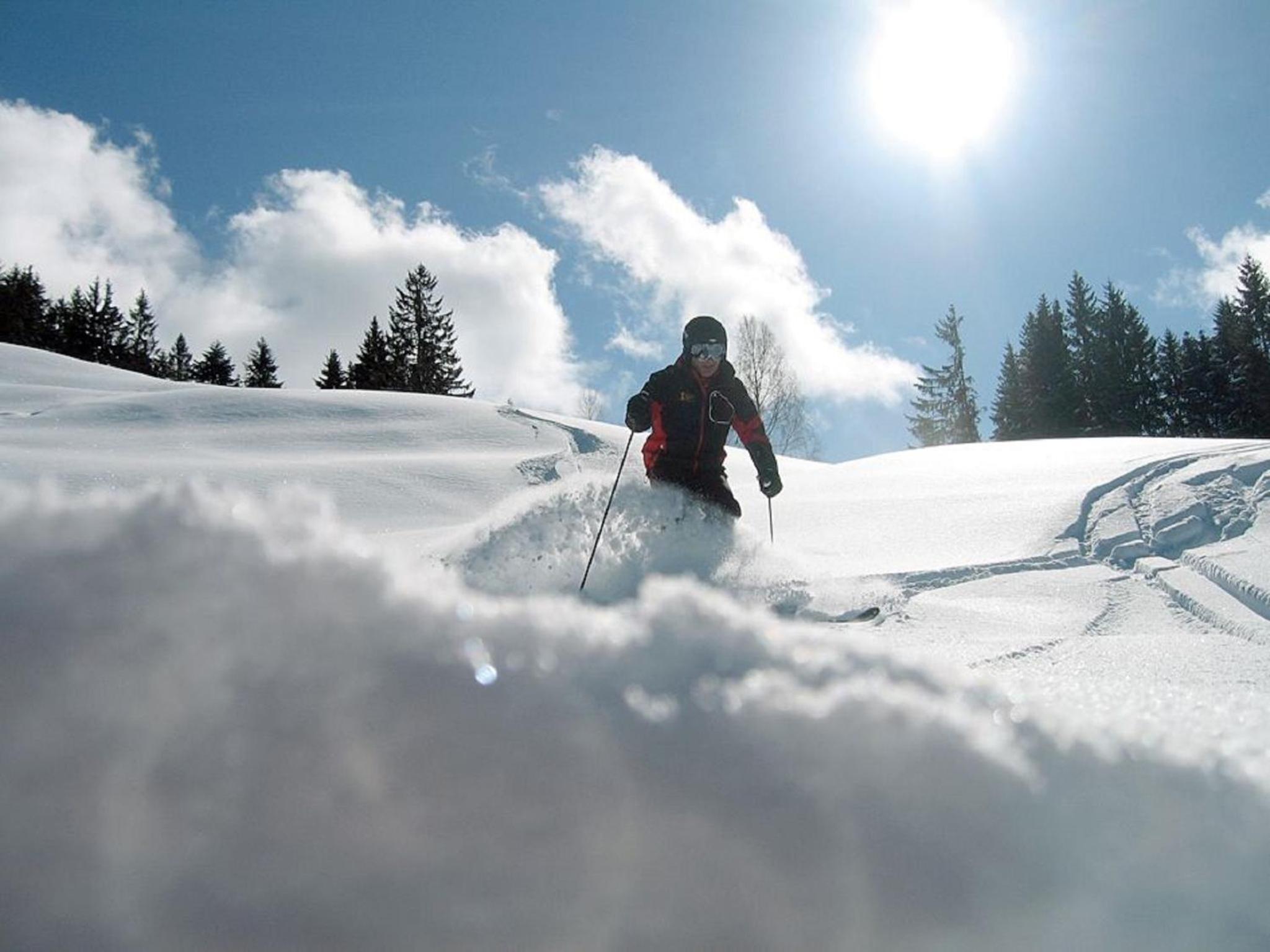 Alp-Chalet