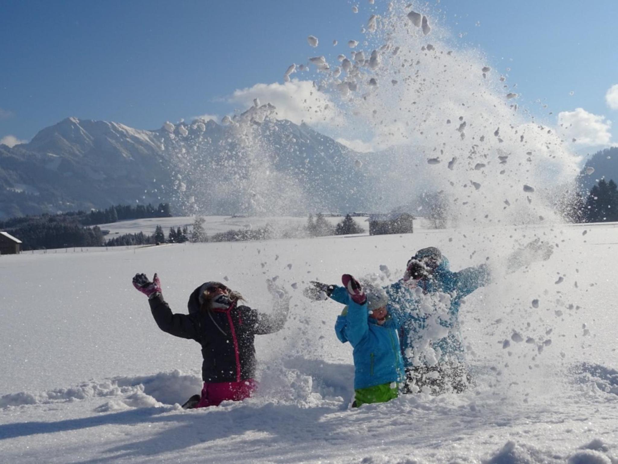Alp-Chalet