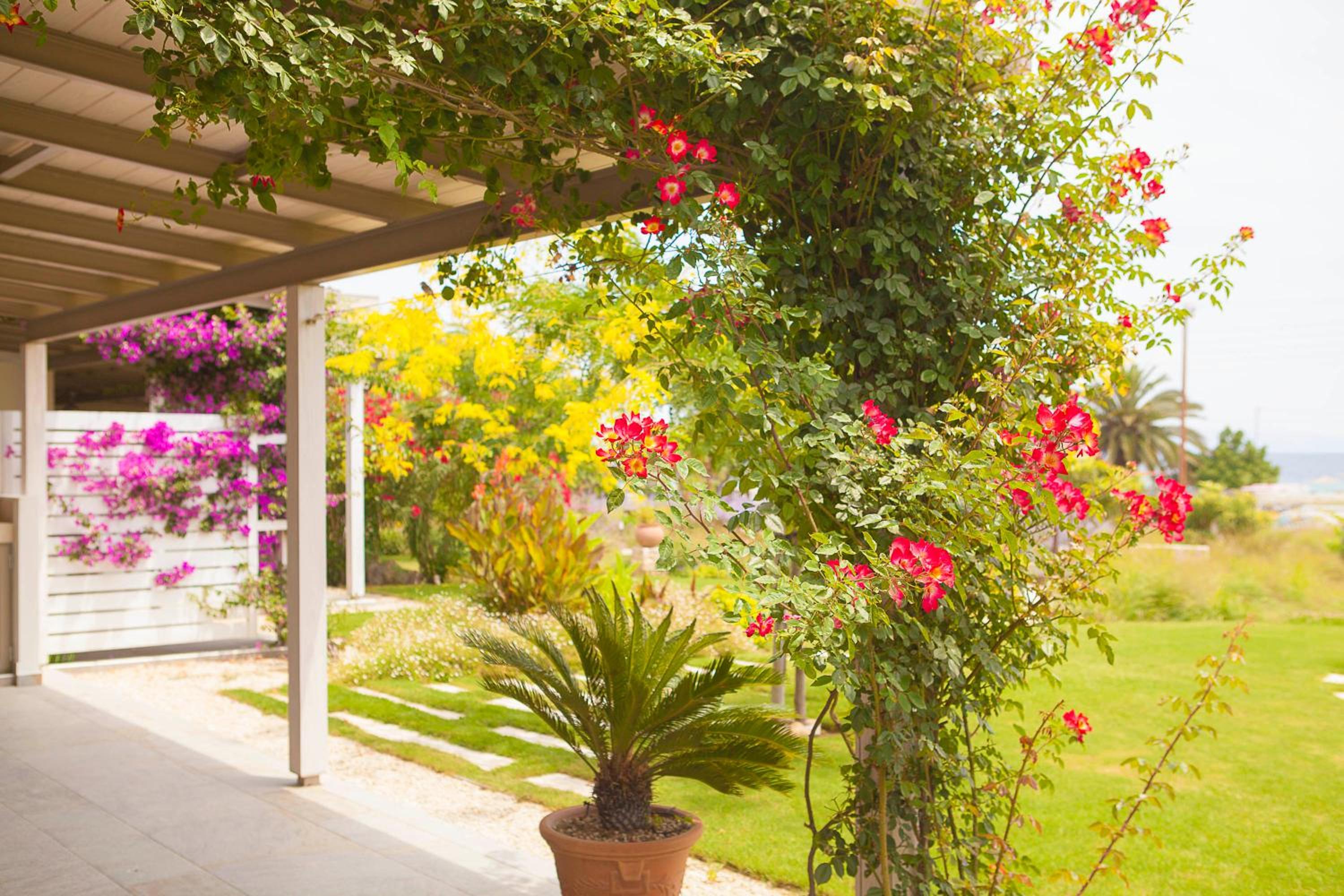 Ammouda Villas