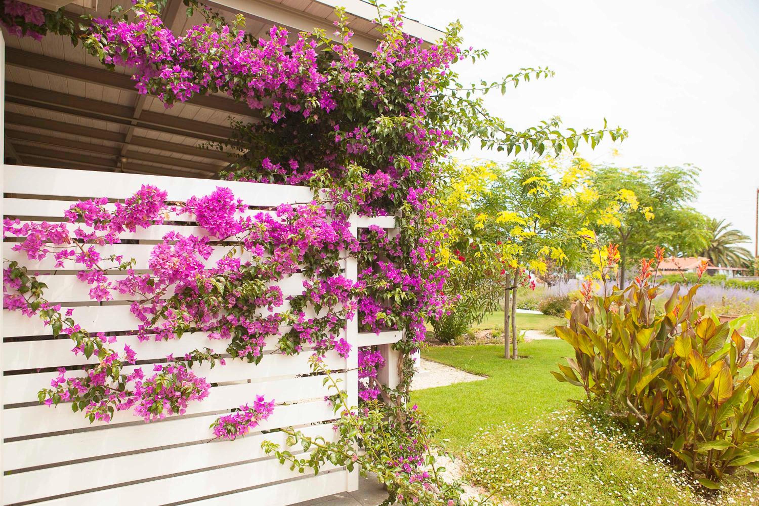 Ammouda Villas