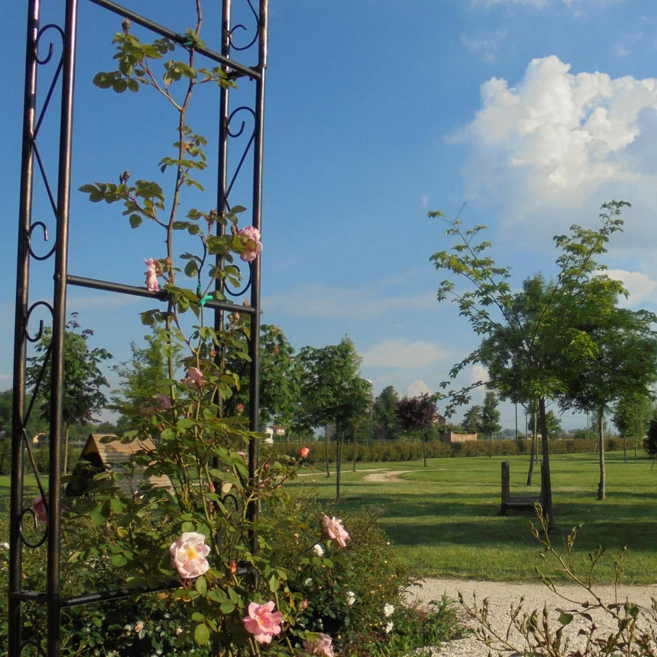 La Casa di Campagna - Property Image 73