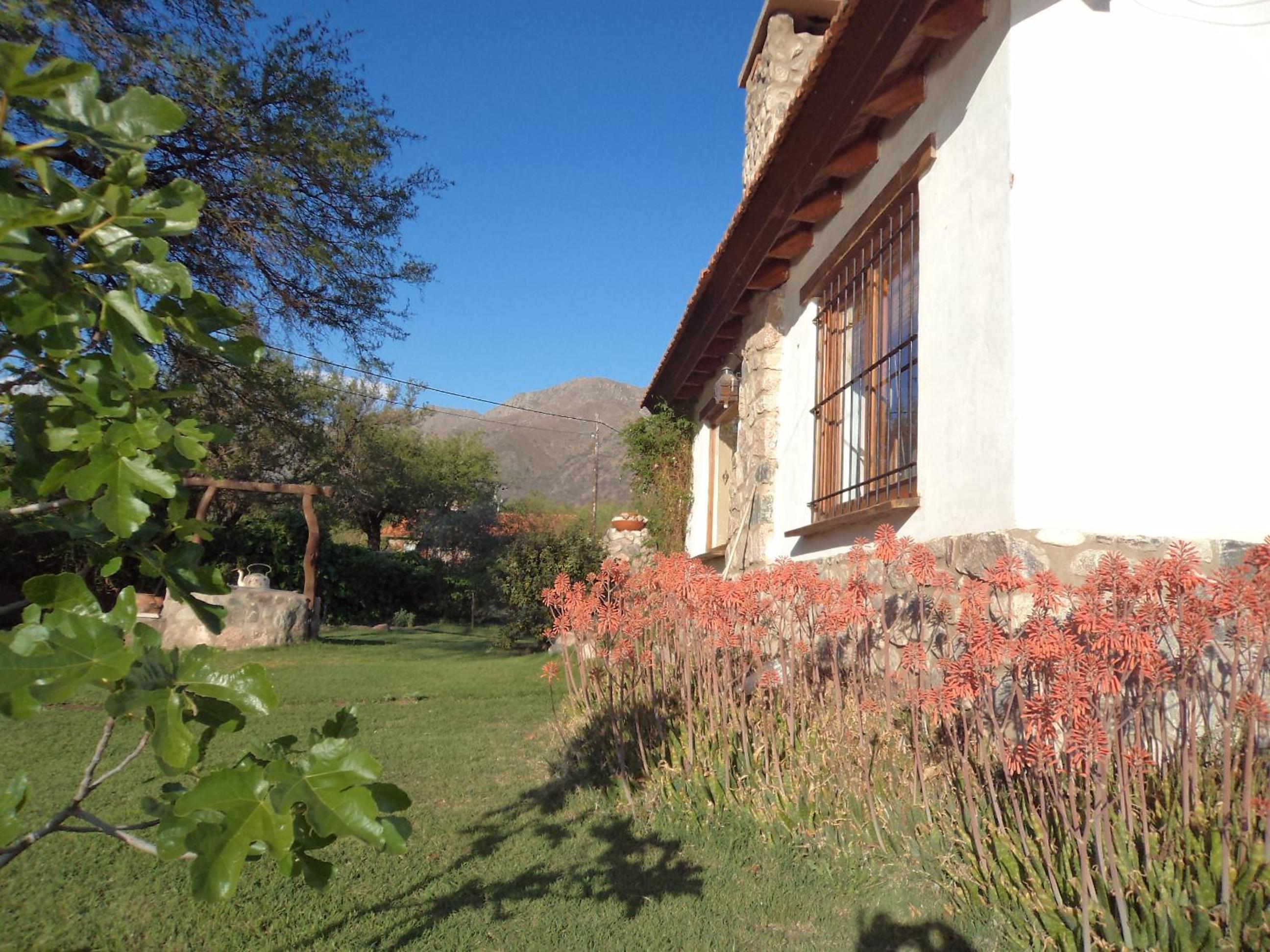 Algarrobo Luz Cabañas