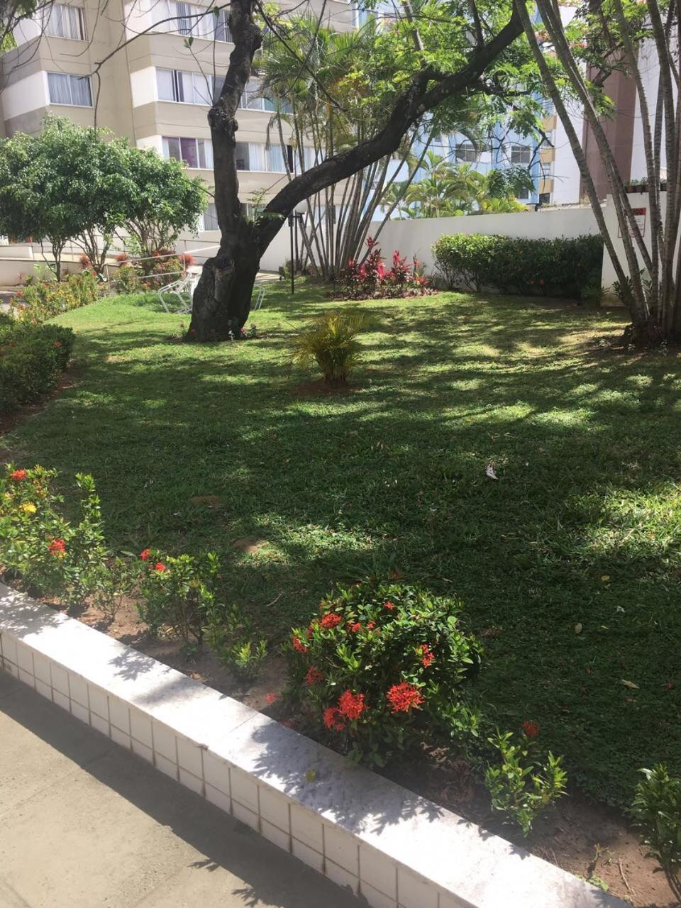 Barra Summer flat