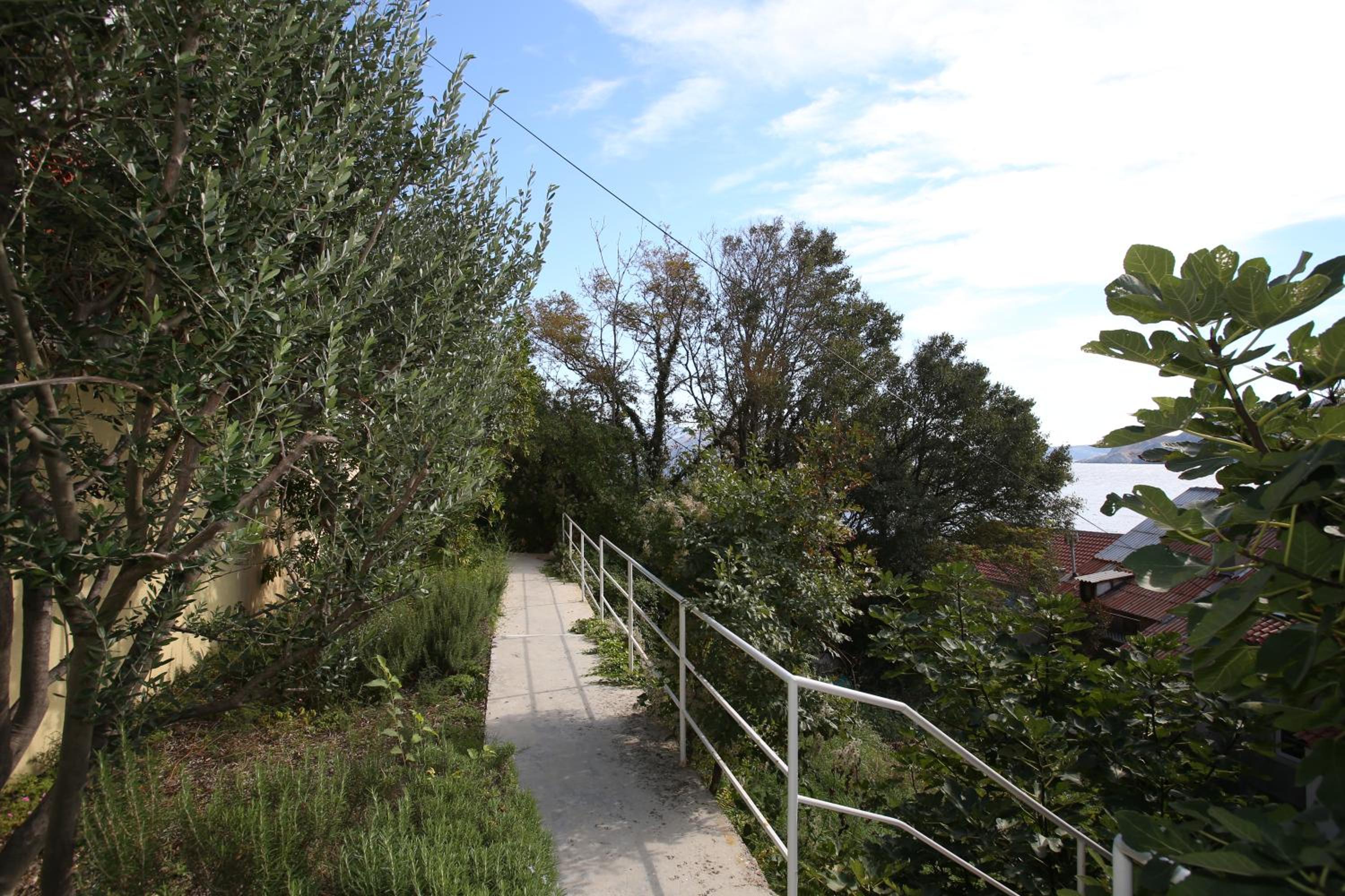 Photo 45