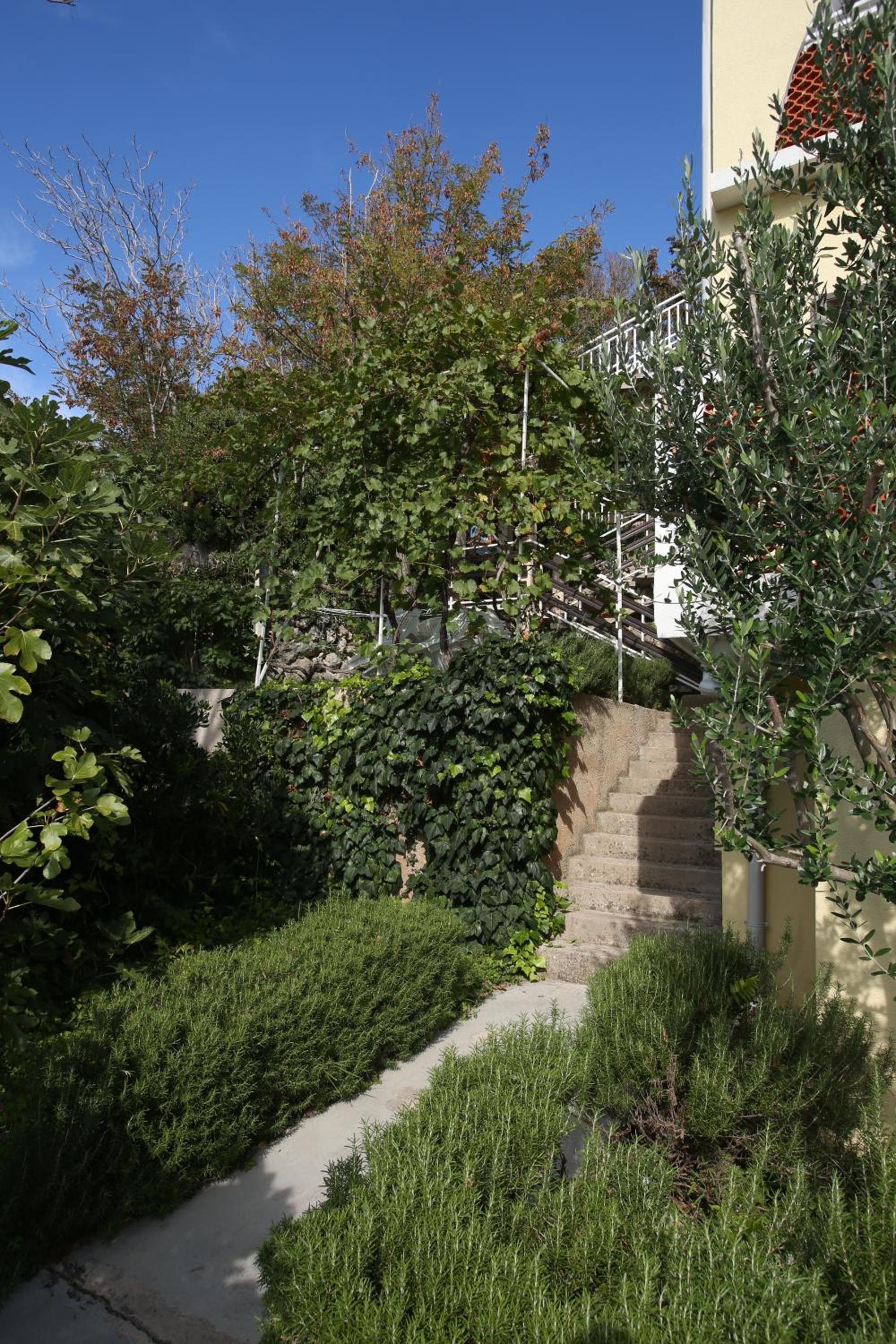 Photo 46