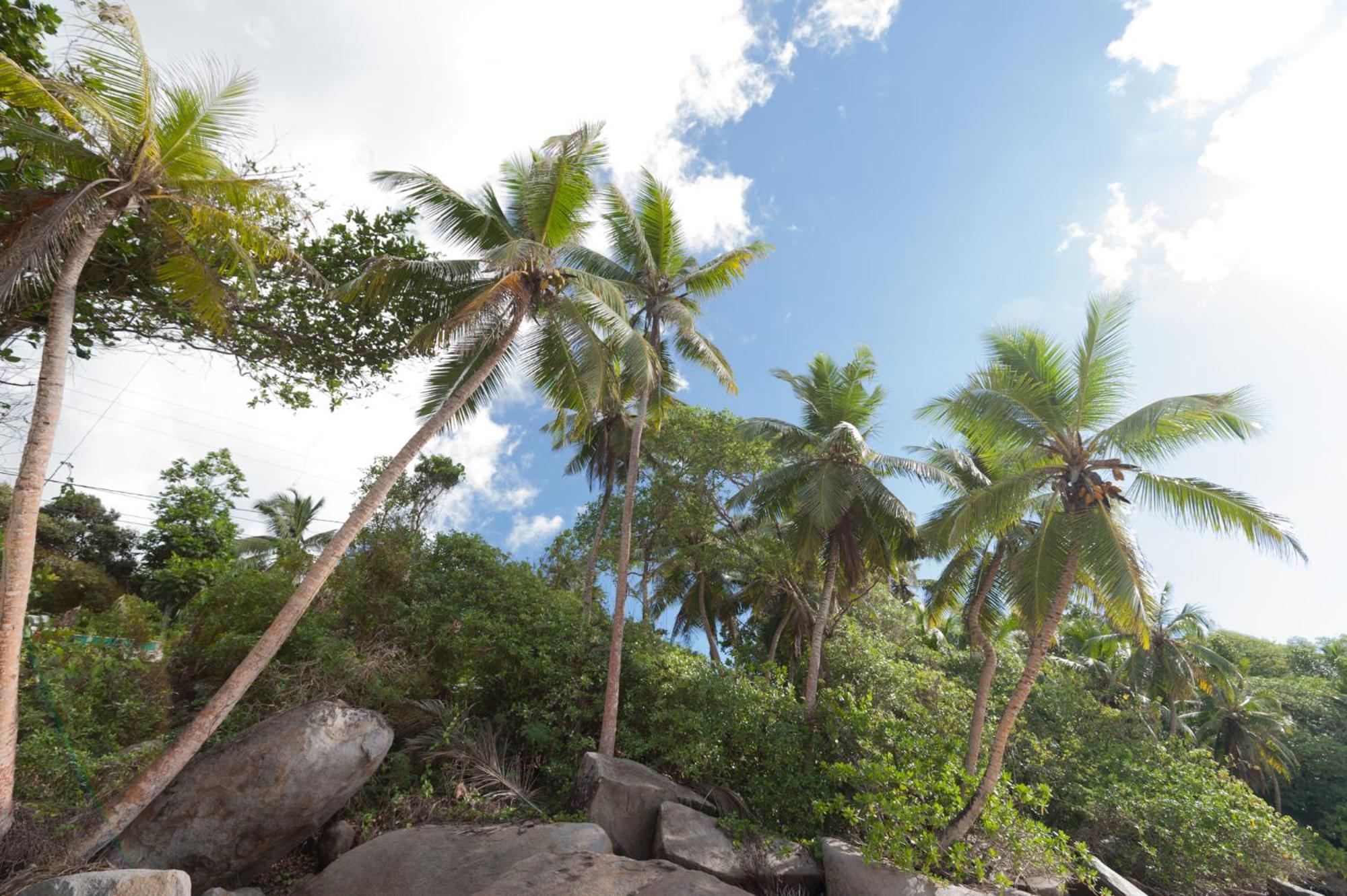 Villa Bel Age photo 2