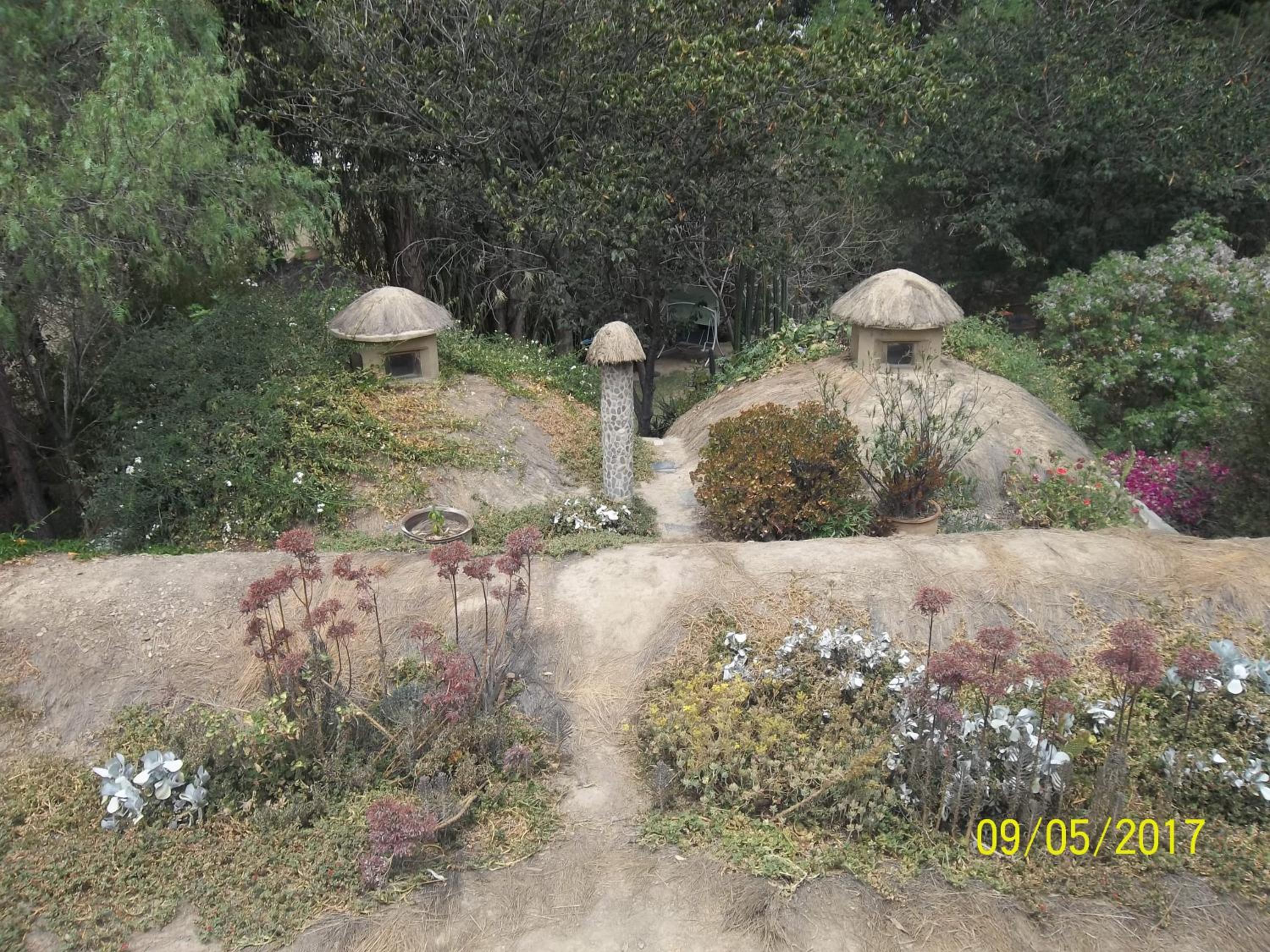 Photo 29