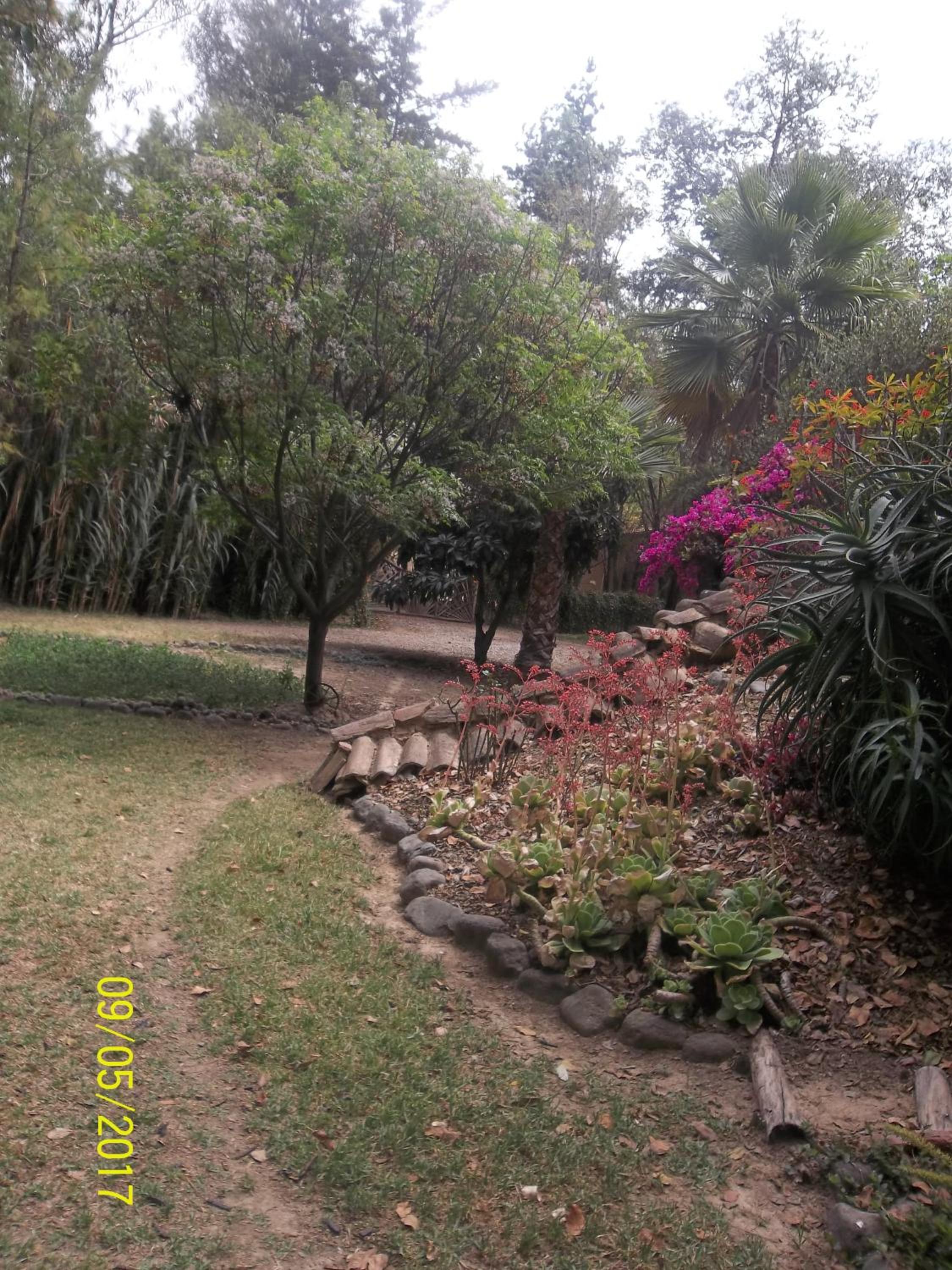 Photo 31