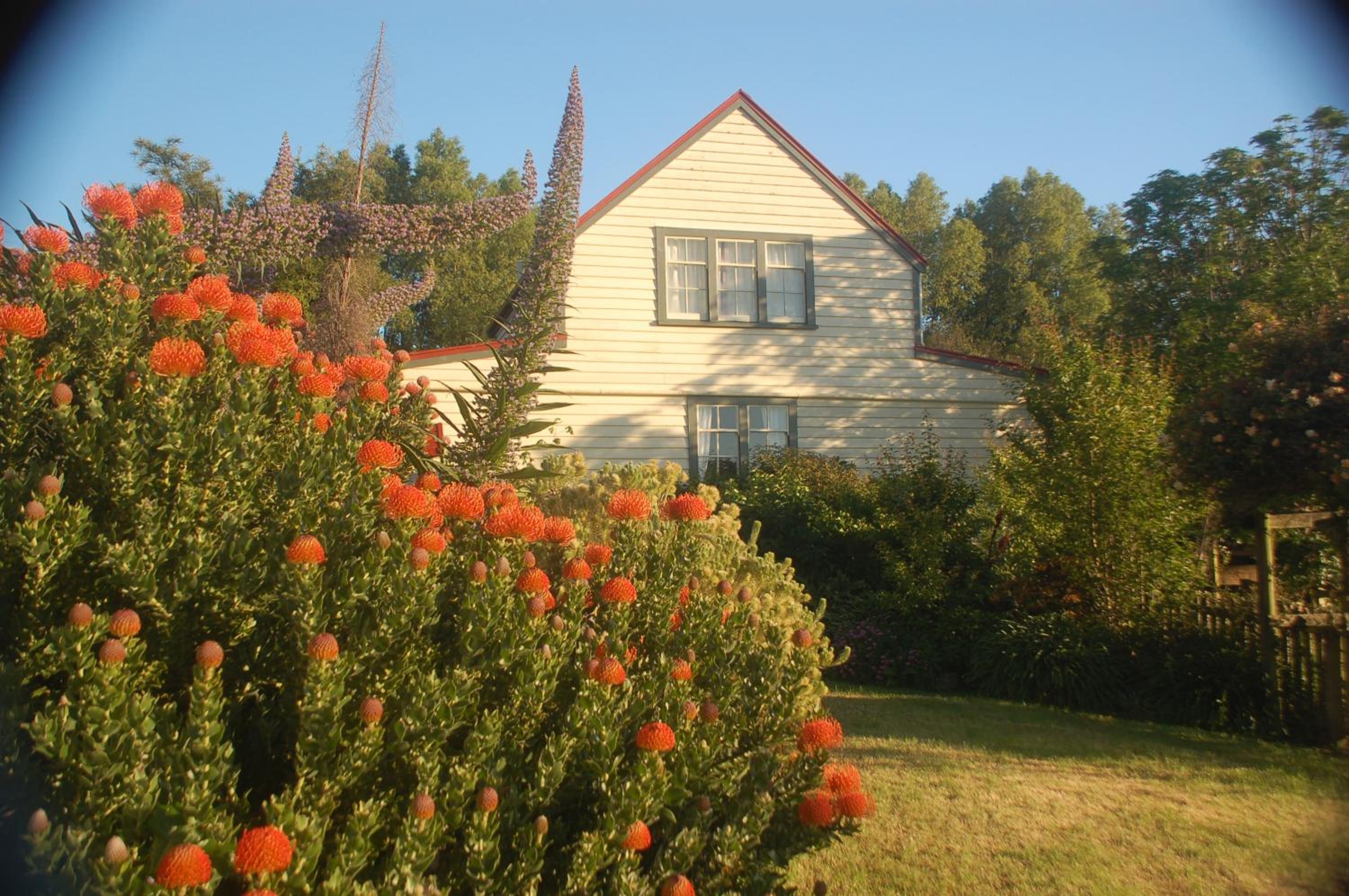Photo 23