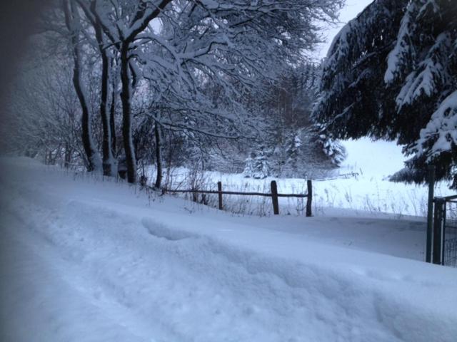 Photo 47