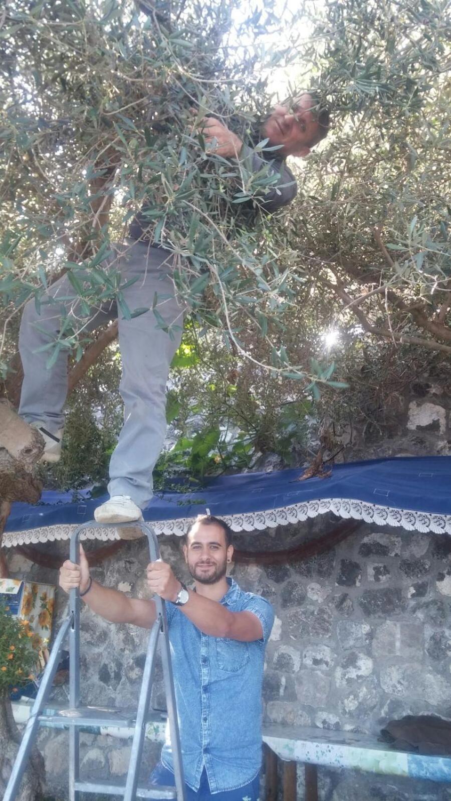 human