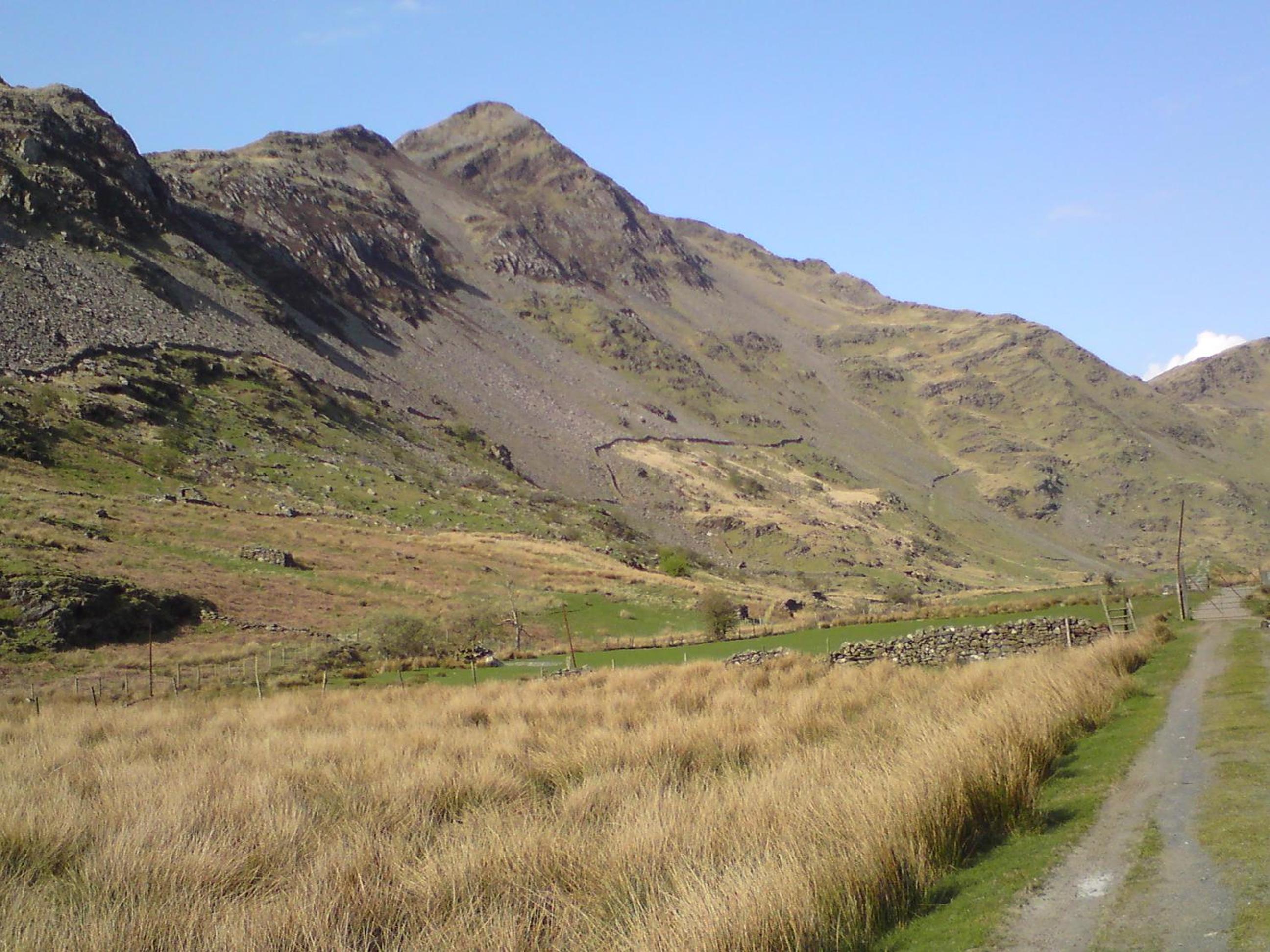 Photo 41