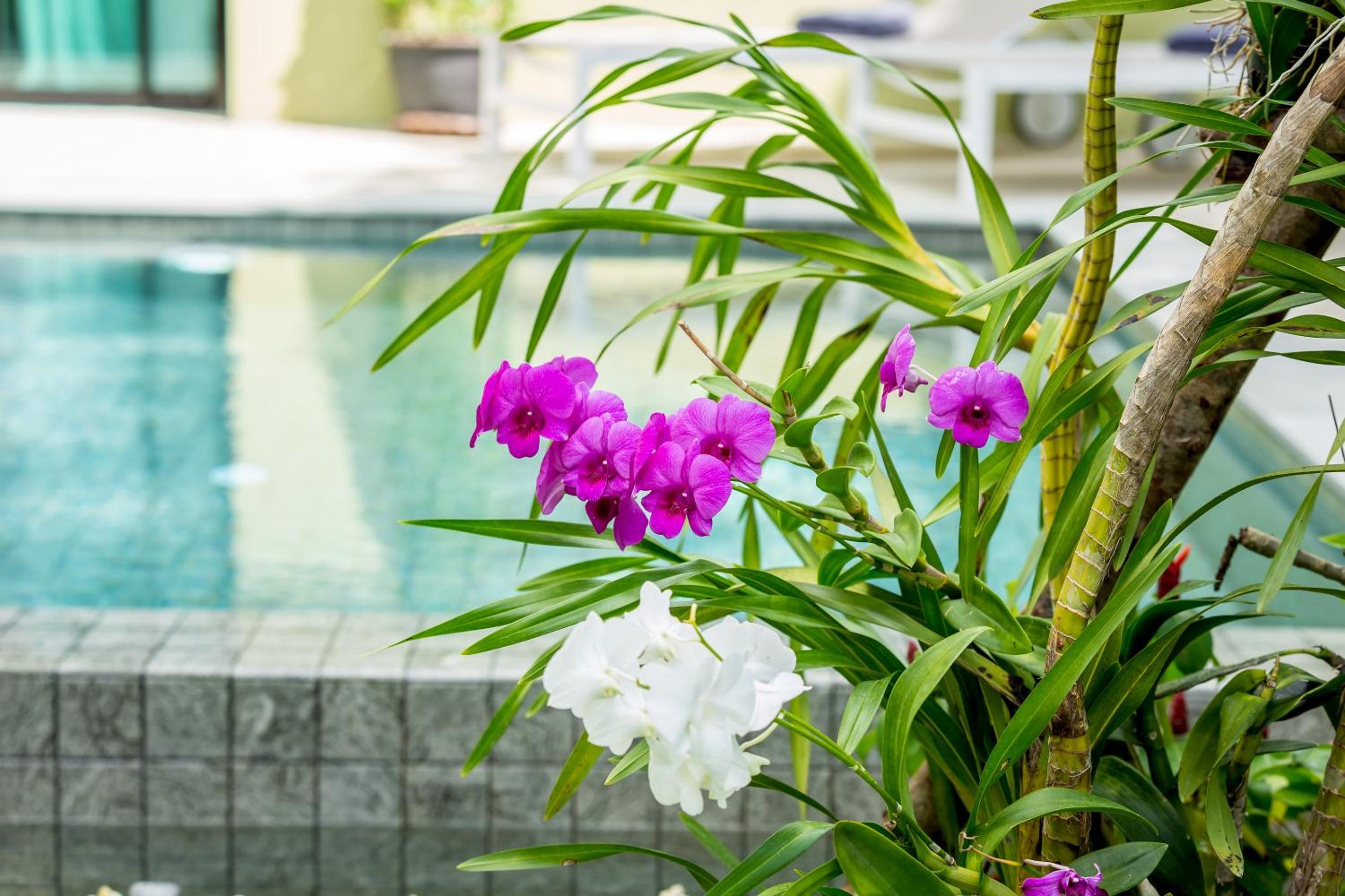 Baan Suaan Serenity