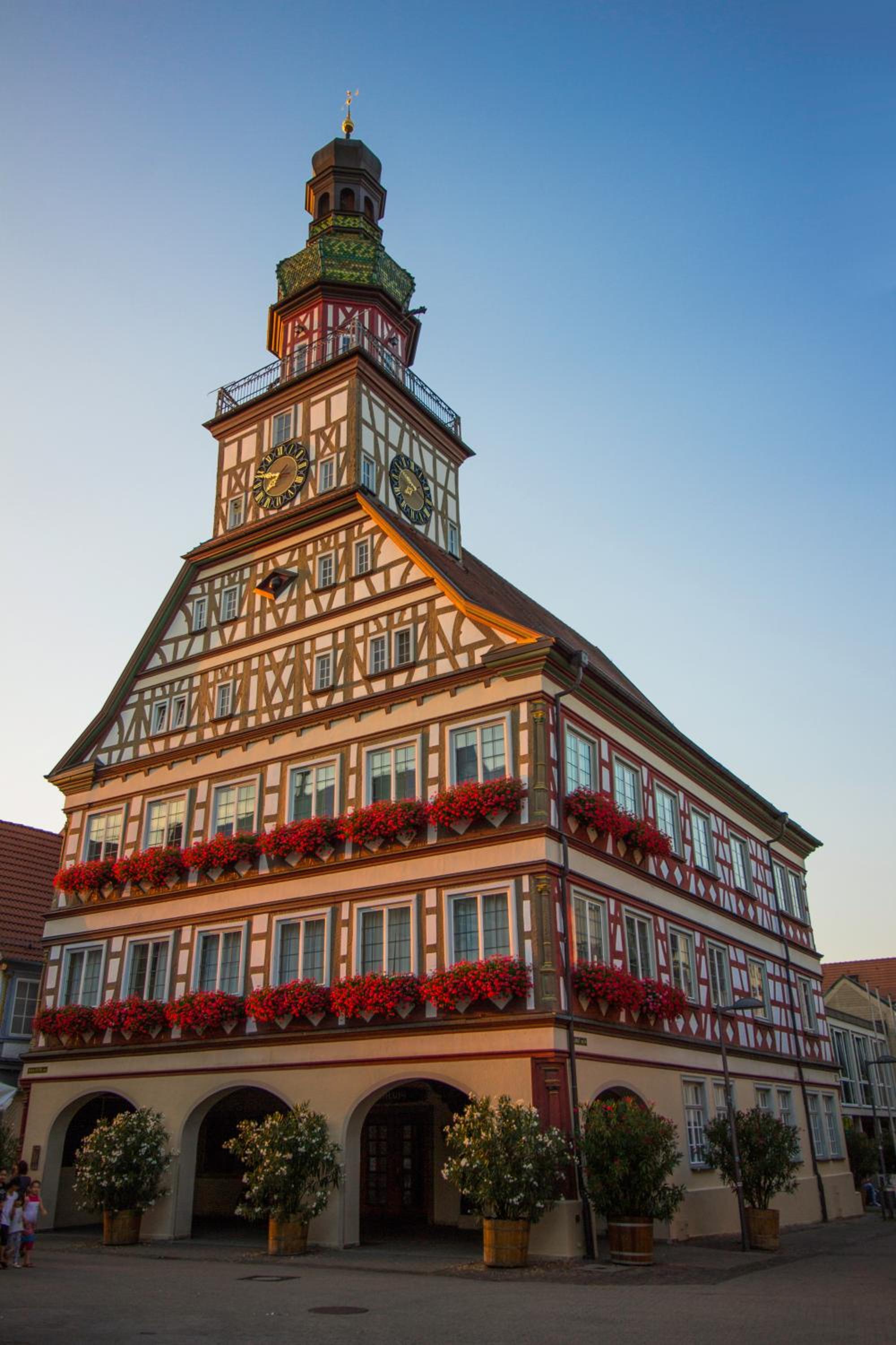 Altstadt Apartments