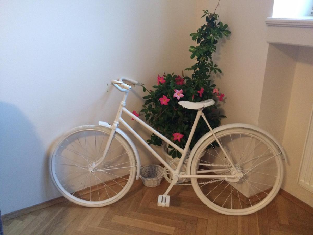 Fantastic apartment in the city center
