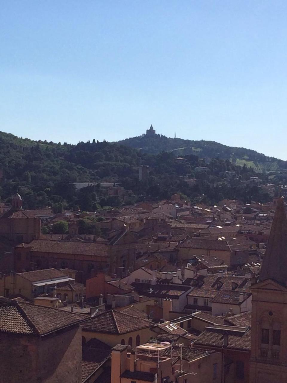Falcone 22 view 3