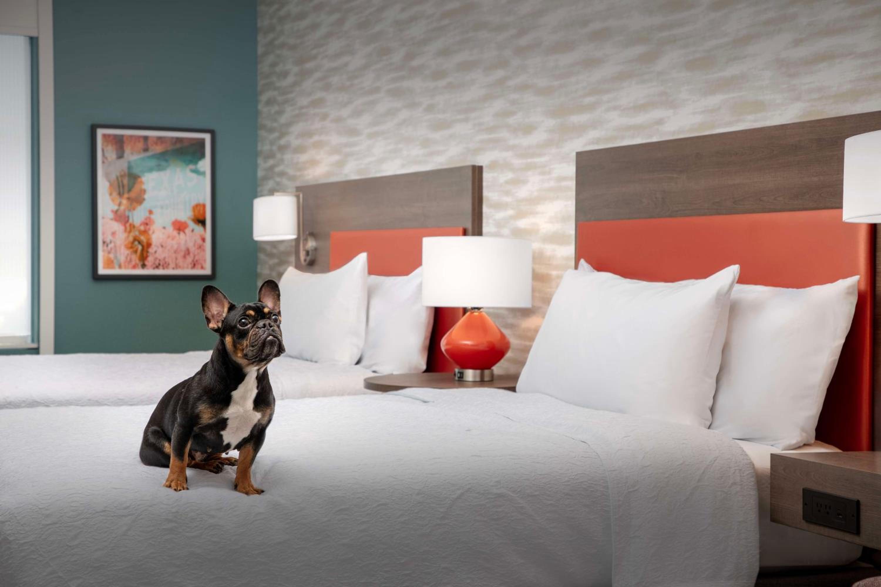 Home2 Suites By Hilton Georgetown Austin North, 사진 17